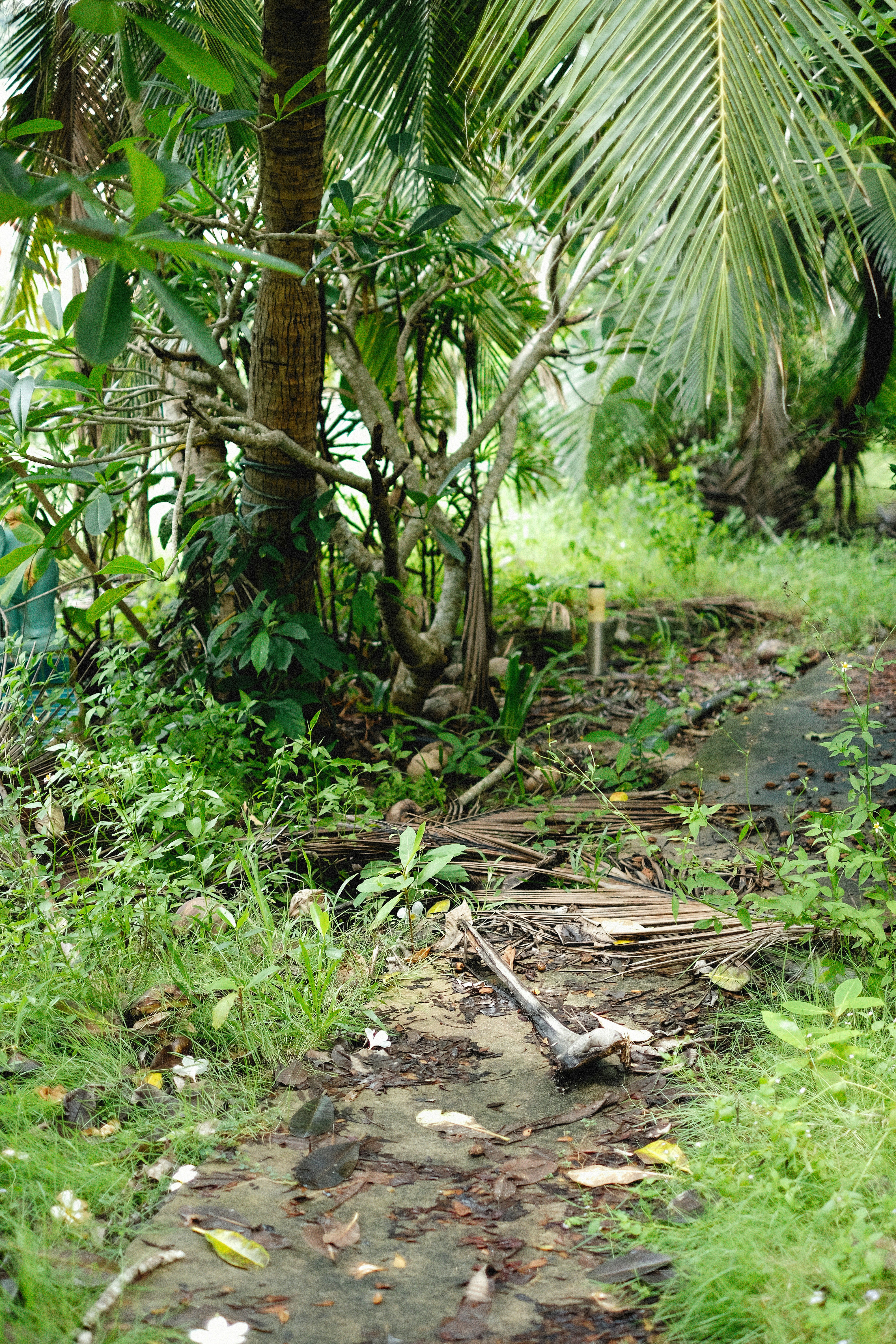 Photo by alexeydemidov