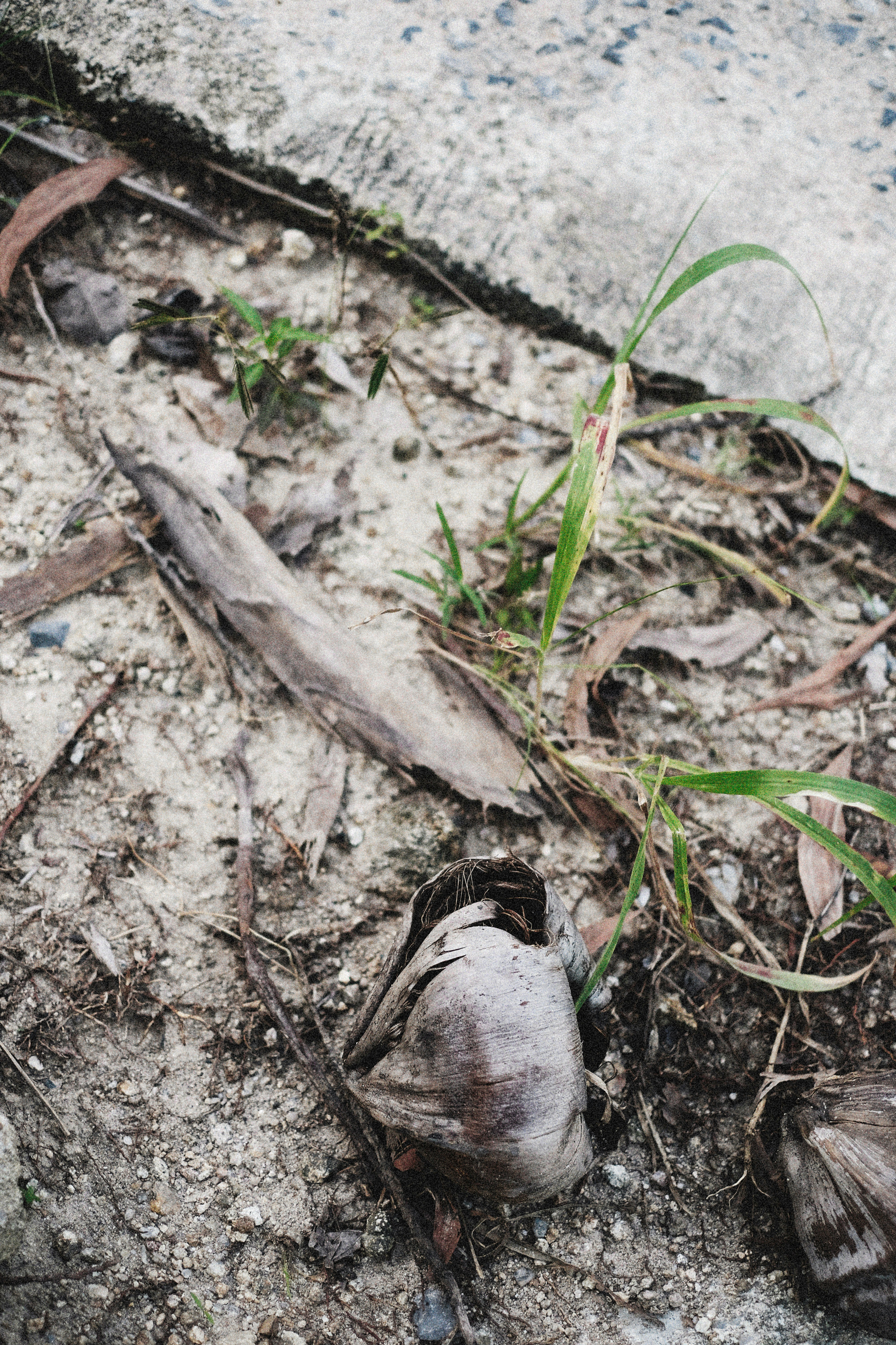 Photo by alexeydemidov