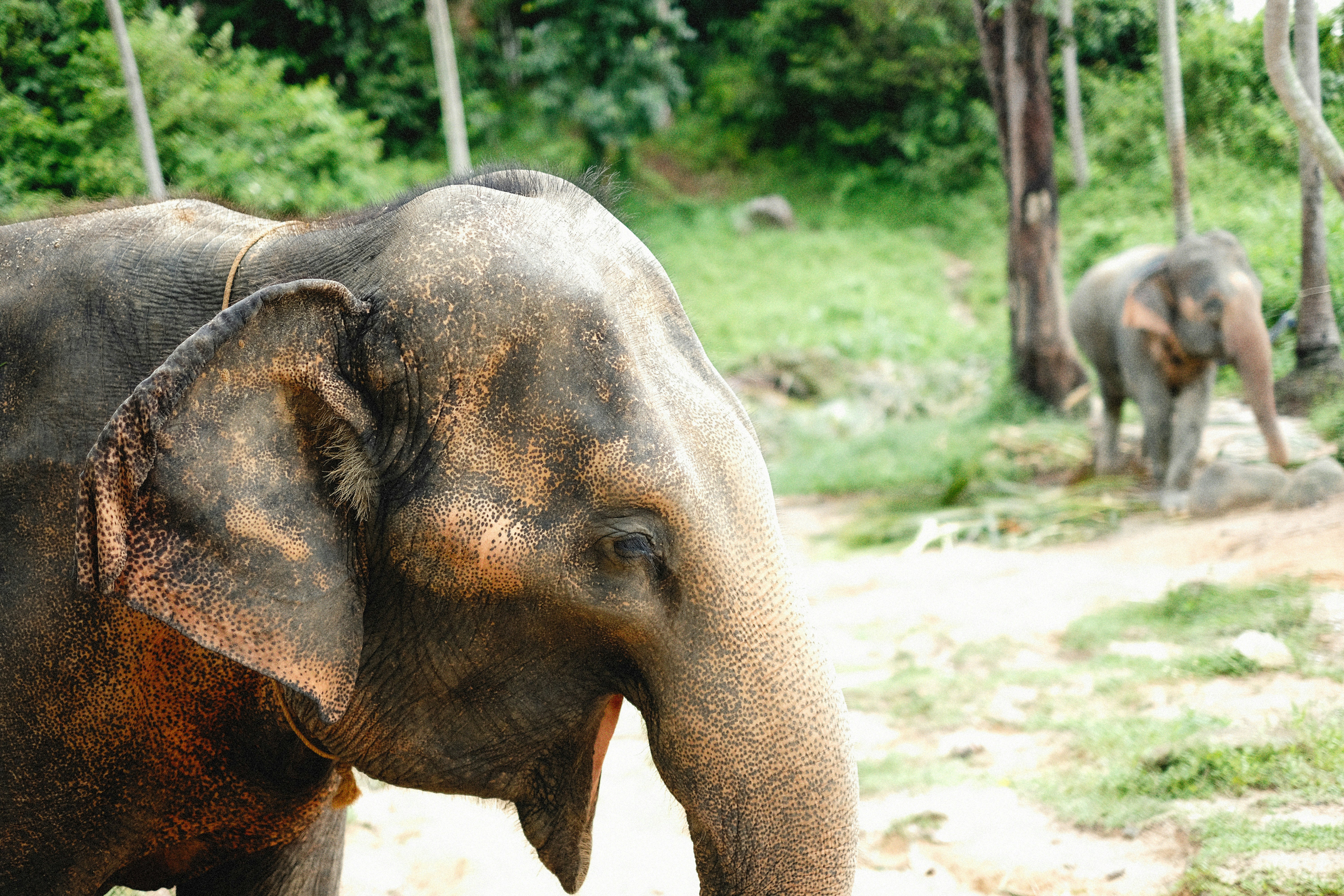 Photo by alexeydemidov