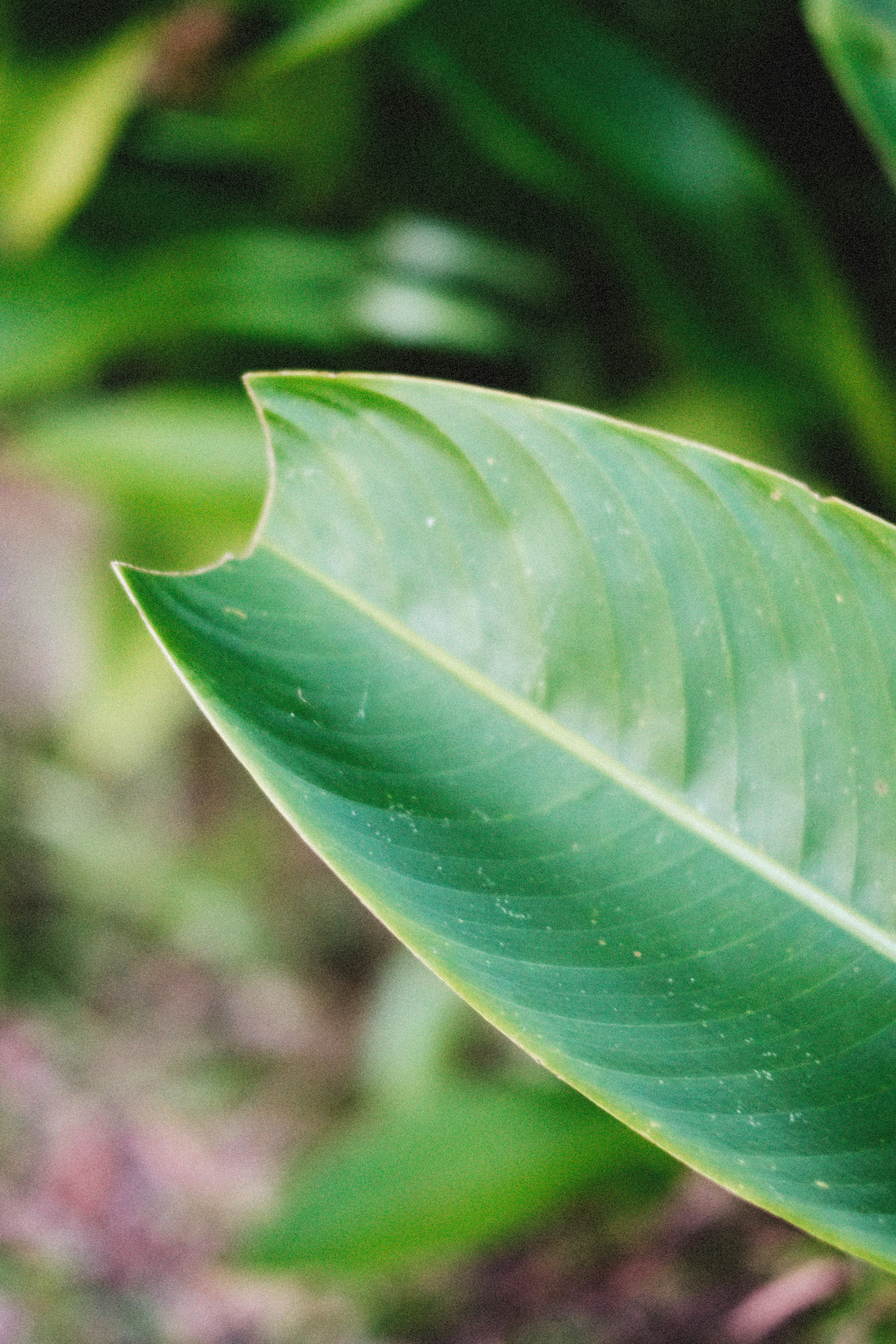 Photo by alexeydemidov