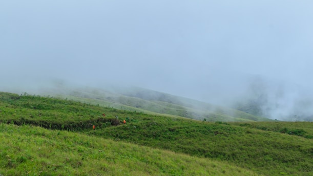 rinjani savana