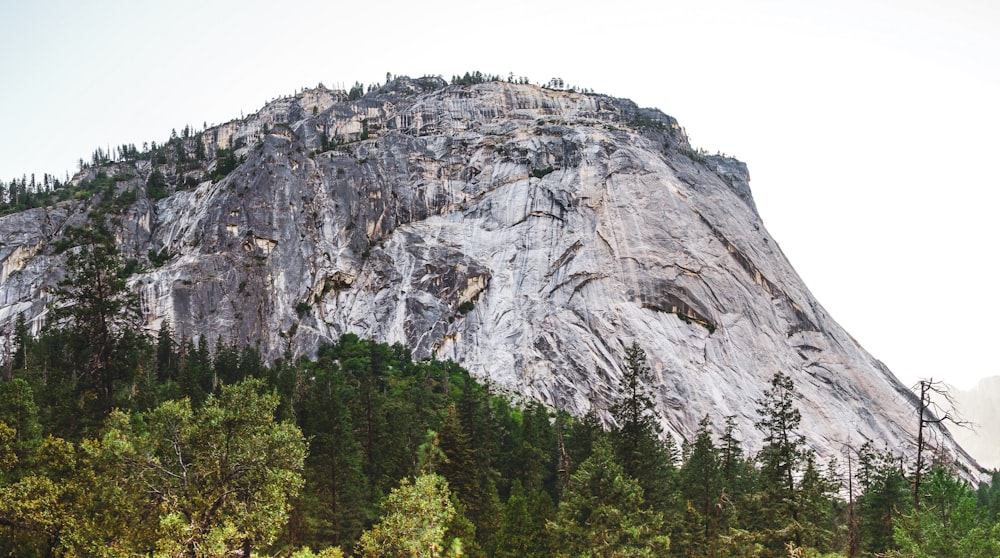 a very tall mountain with a lot of trees around it