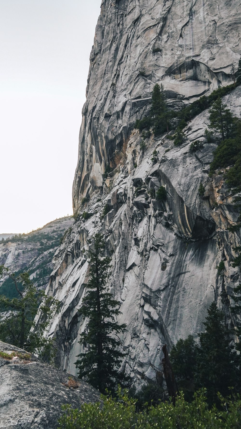 a large rock face with trees growing out of it