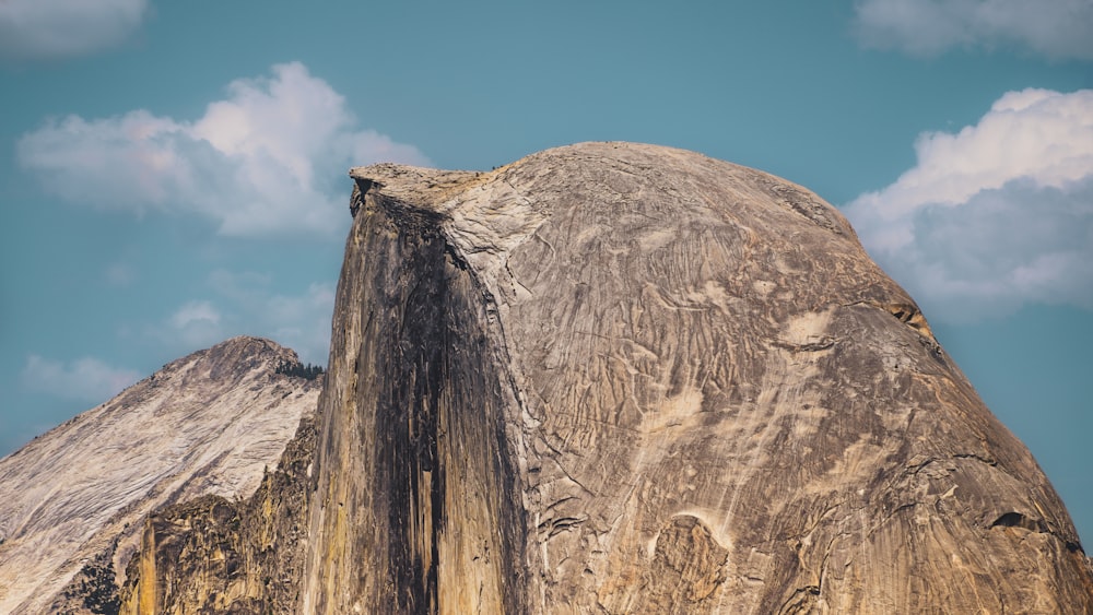 a large rock with a tree on top of it