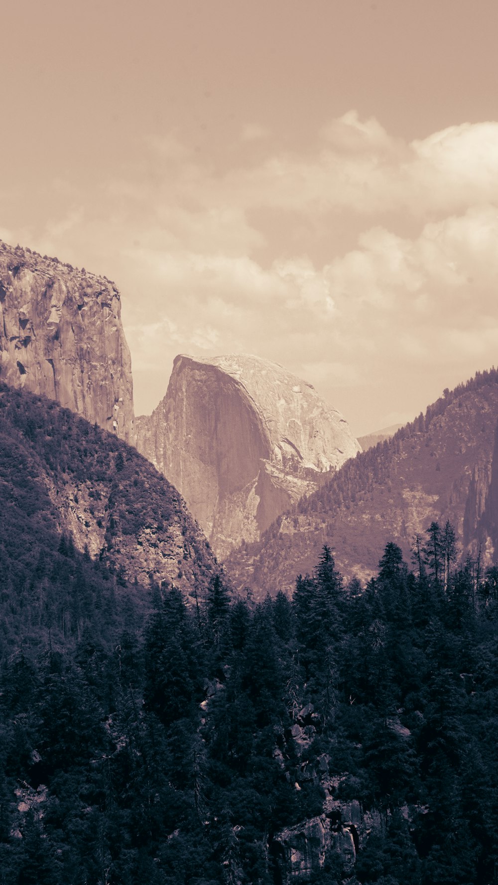 a black and white photo of mountains and trees