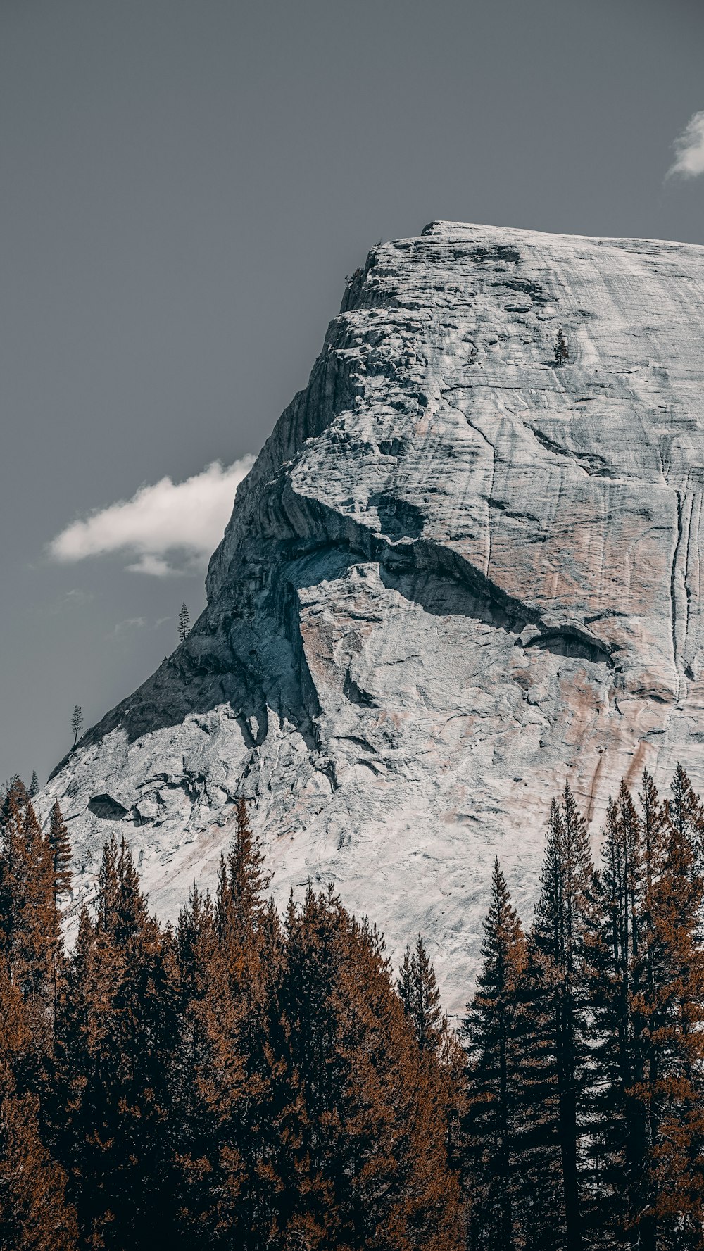 a very tall mountain with some trees in front of it