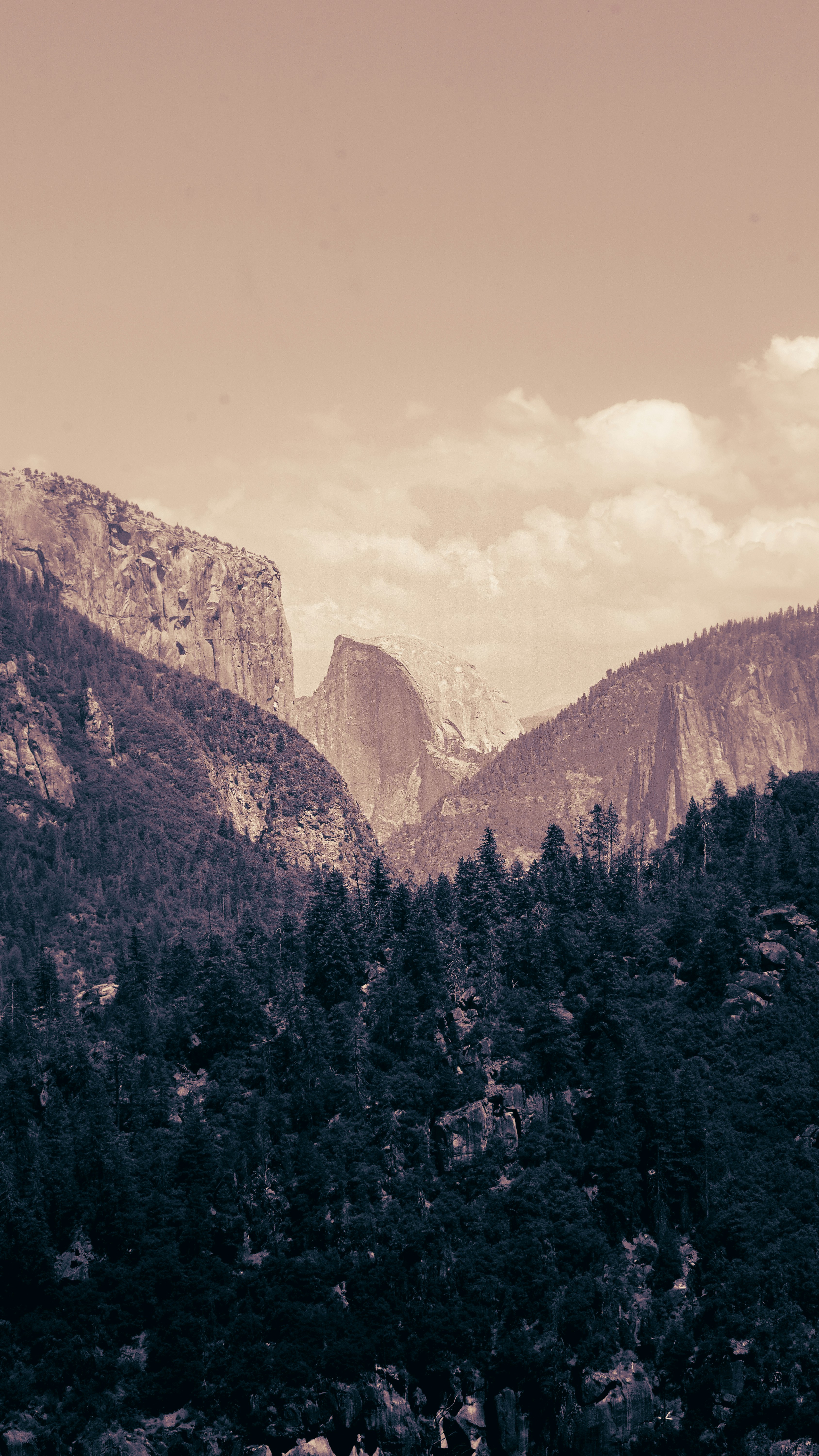 Una foto en blanco y negro de montañas y árboles foto – Imagen de Fondo de  pantalla gratuita en Unsplash, image size:3000x5332