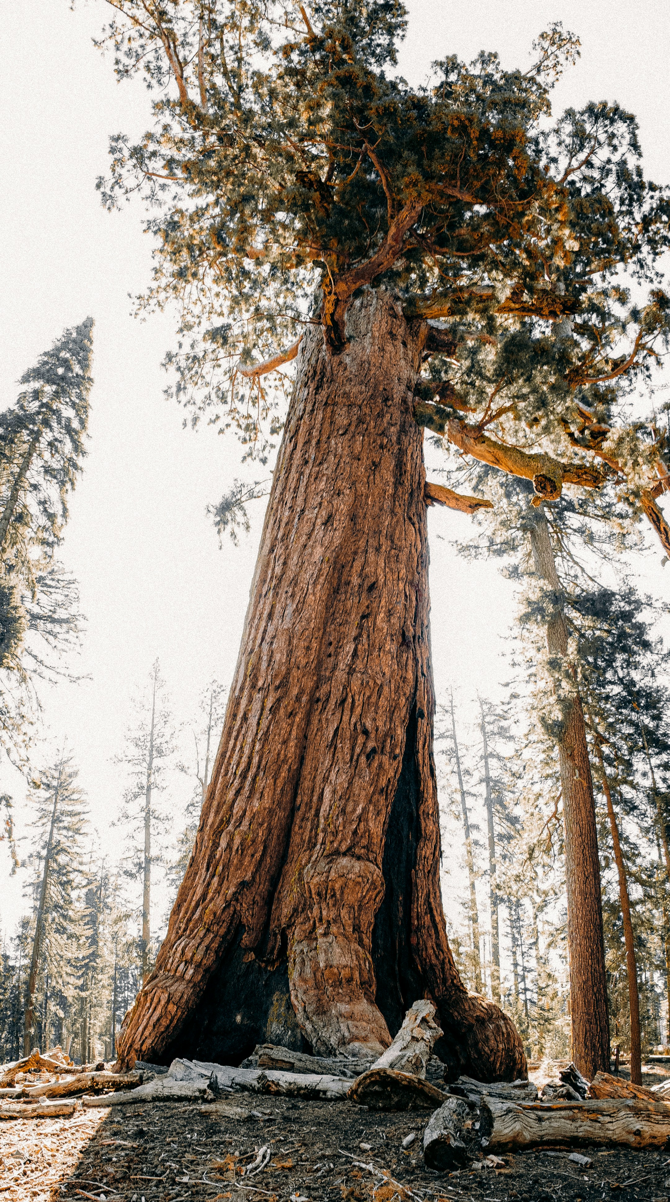 Photo by adrianvalverdem