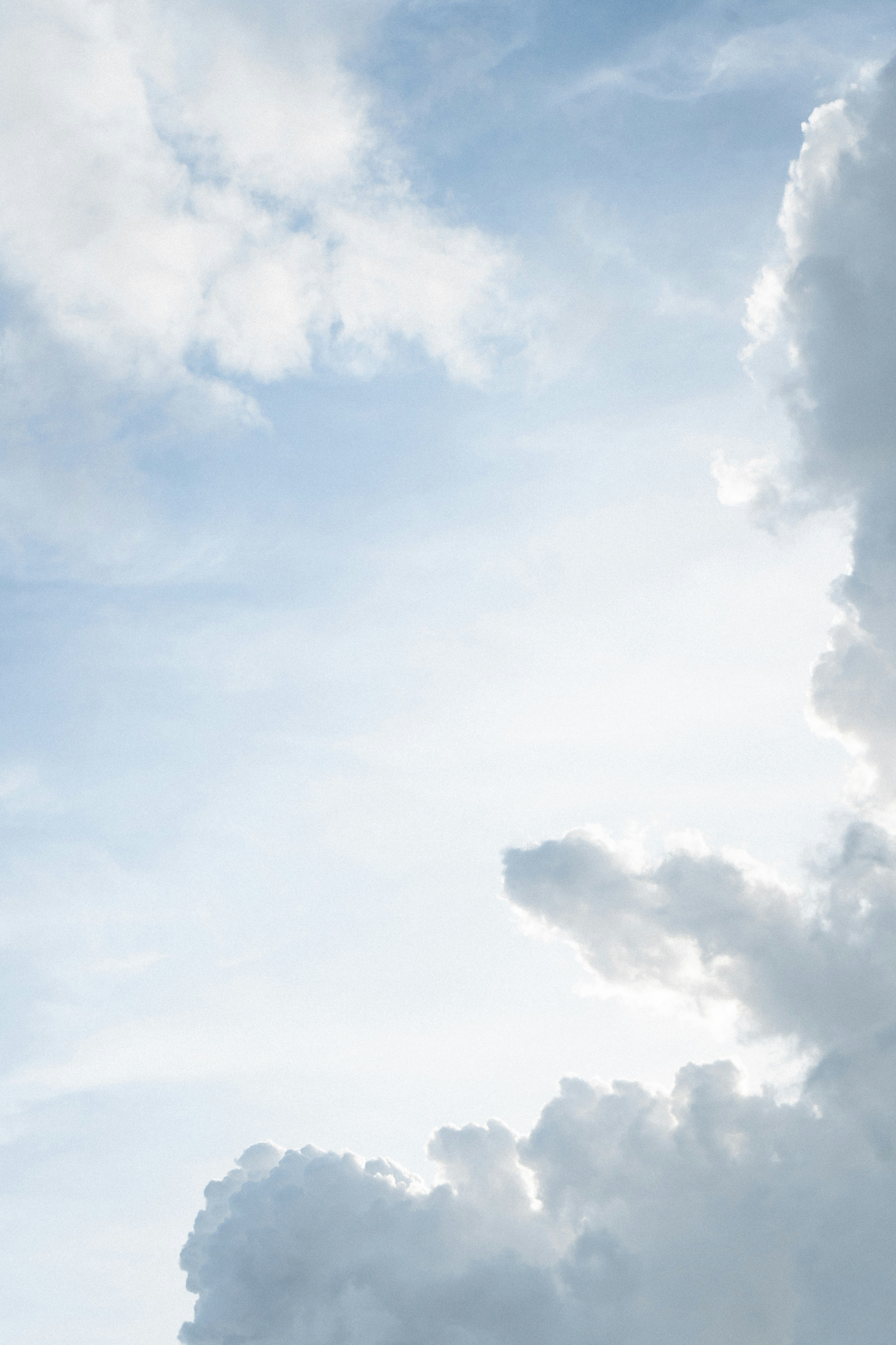 Photo by harrisonchang