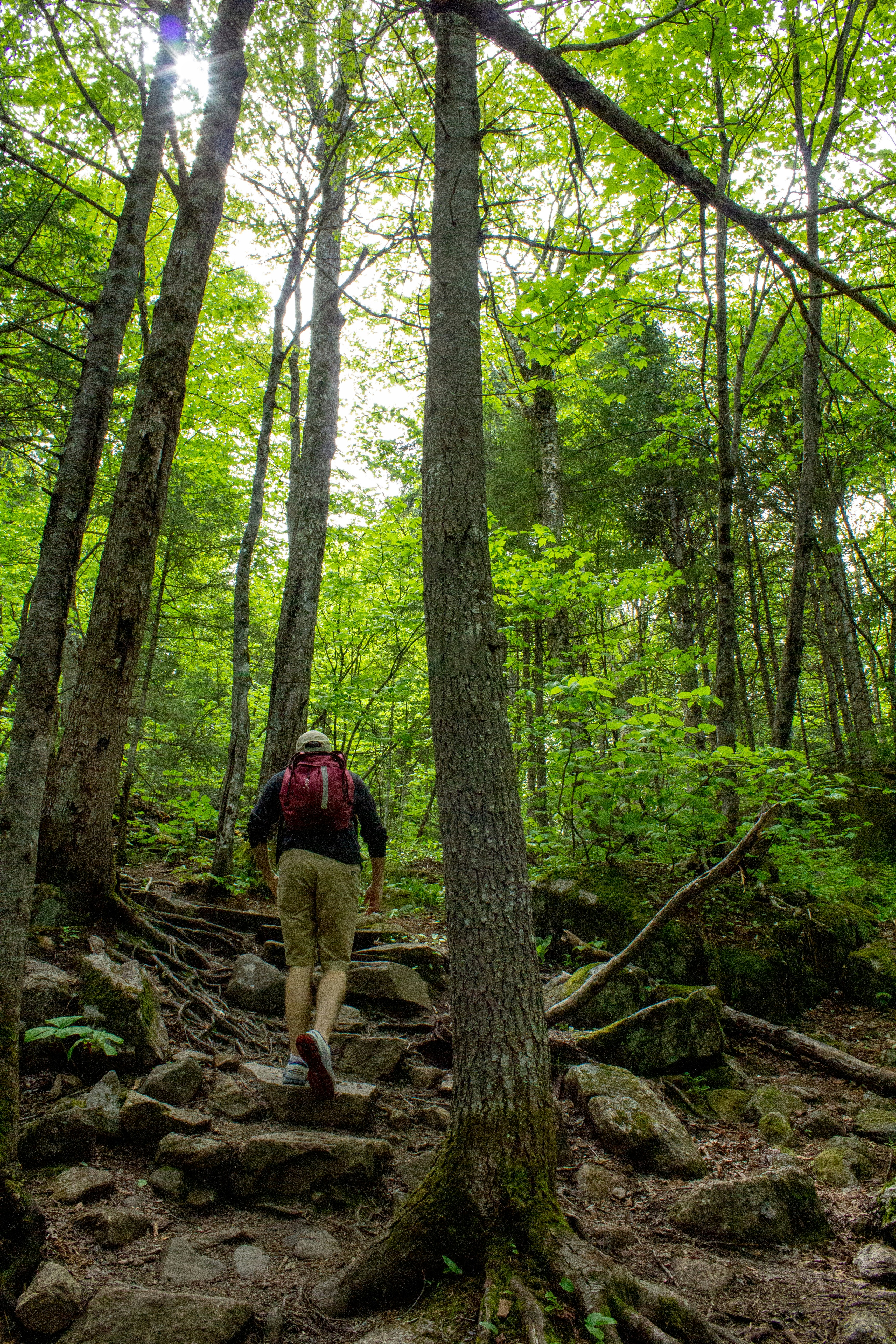 Photo by marianne_lariviere