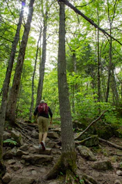 a man hiking up a rocky trail in the woods