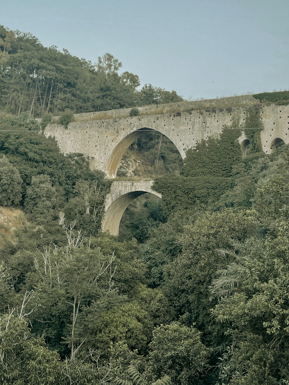 a stone bridge over a lush green forest