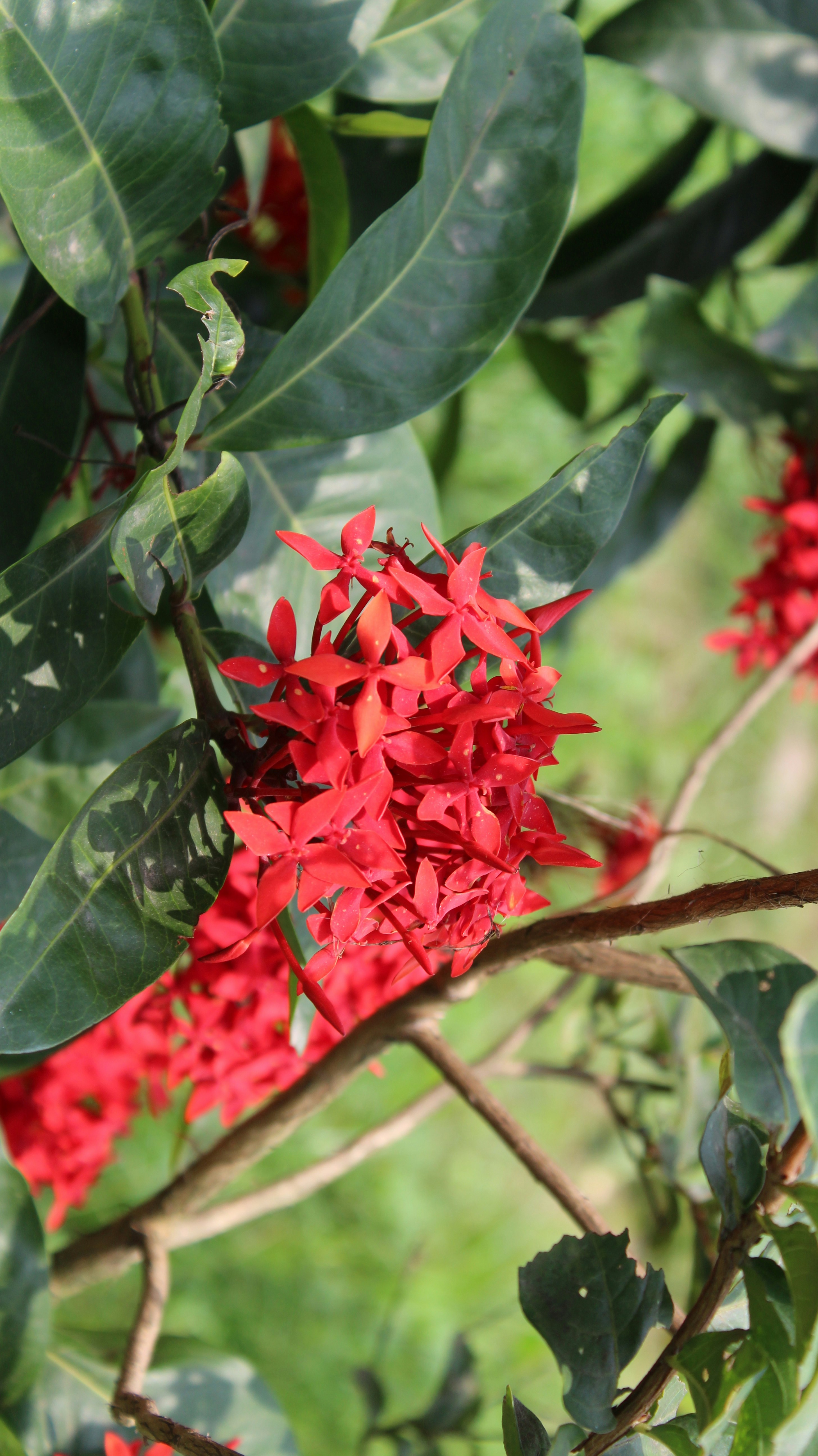 Photo by emdadul_hoque