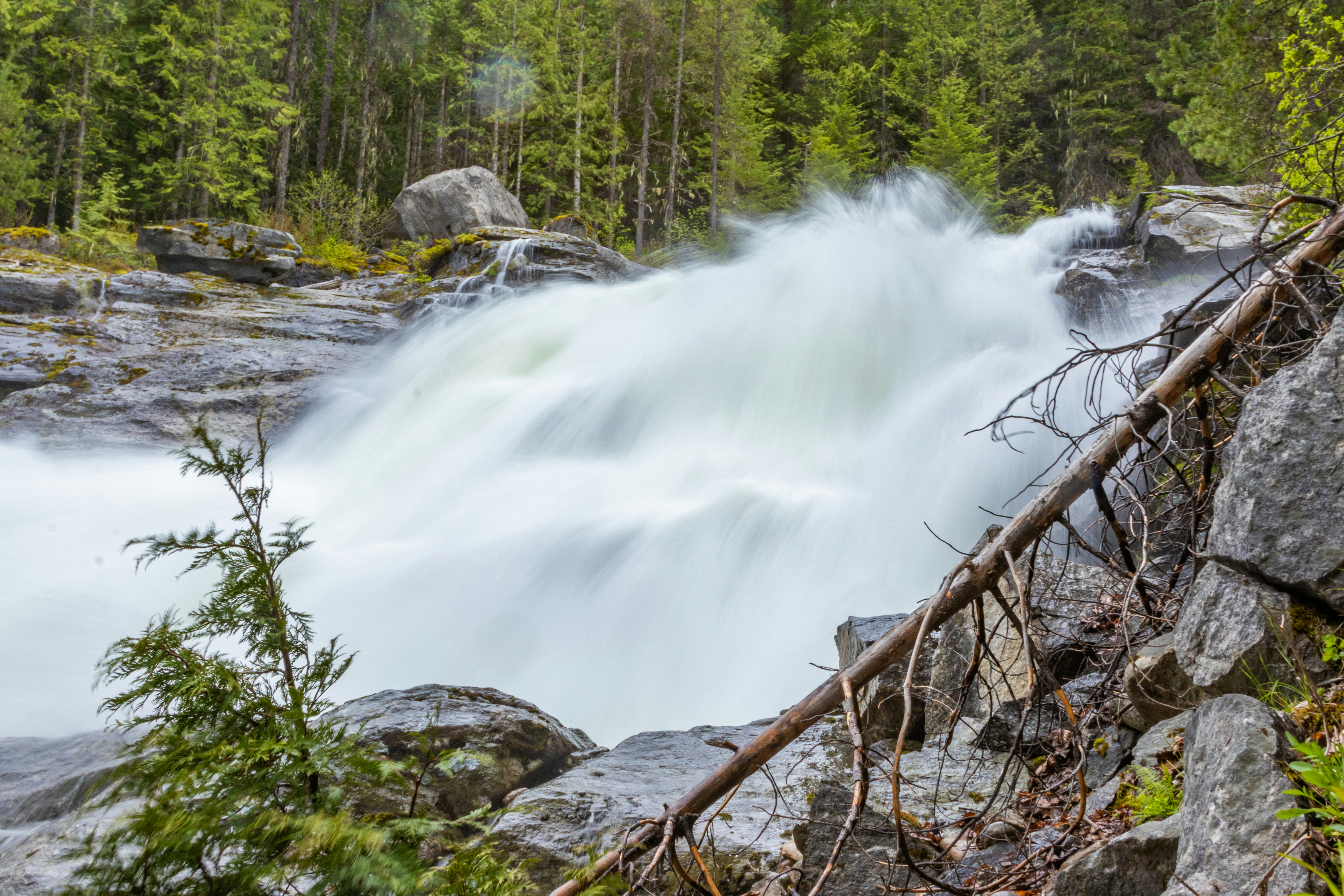 Photo by scatteredbitsoflight