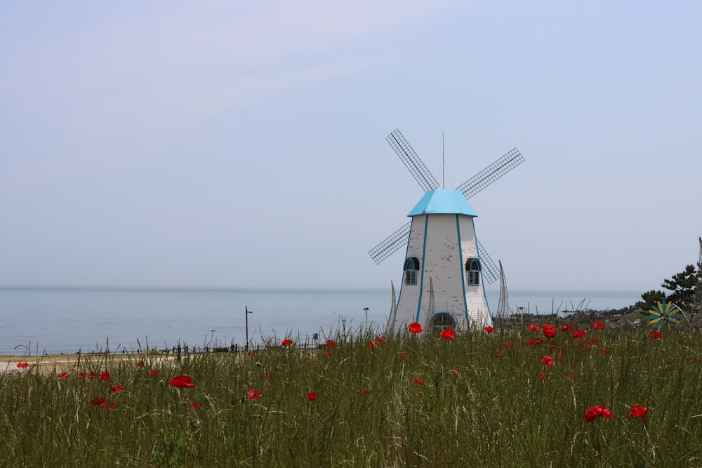 um moinho de vento sentado no meio de um campo de flores