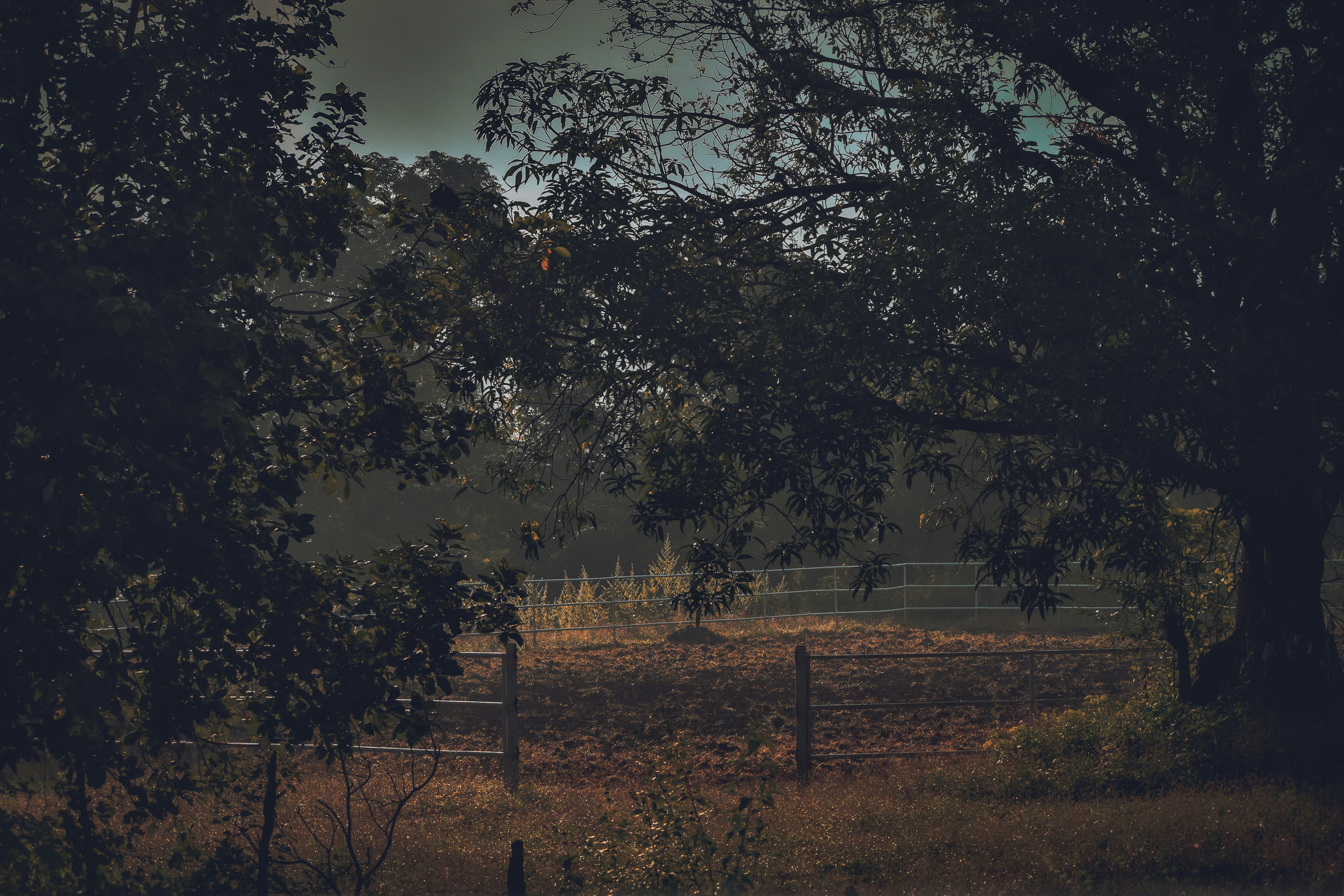 Photo by _globetrotter_03