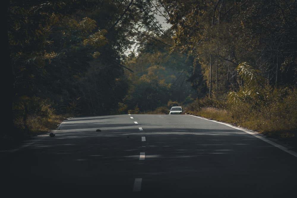 a car driving down a road in the middle of a forest