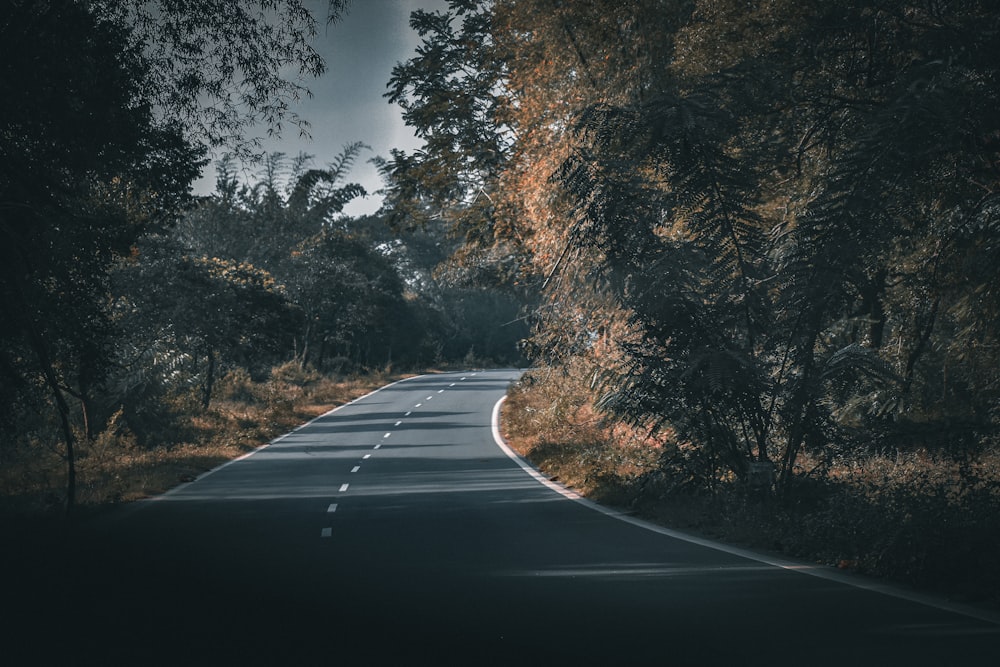 an empty road in the middle of a wooded area