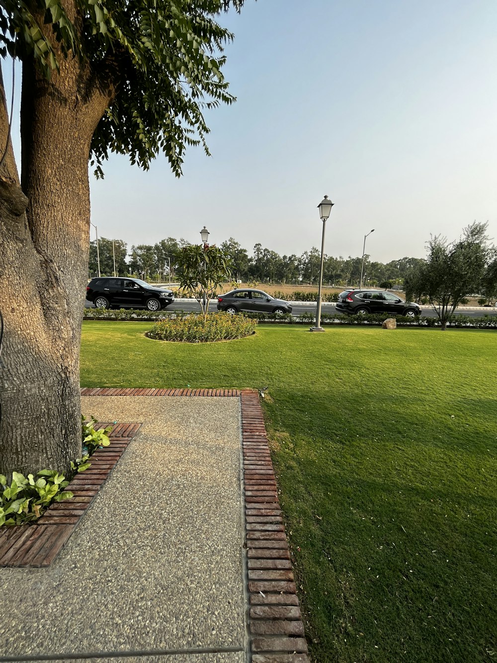 a park with cars parked in the background