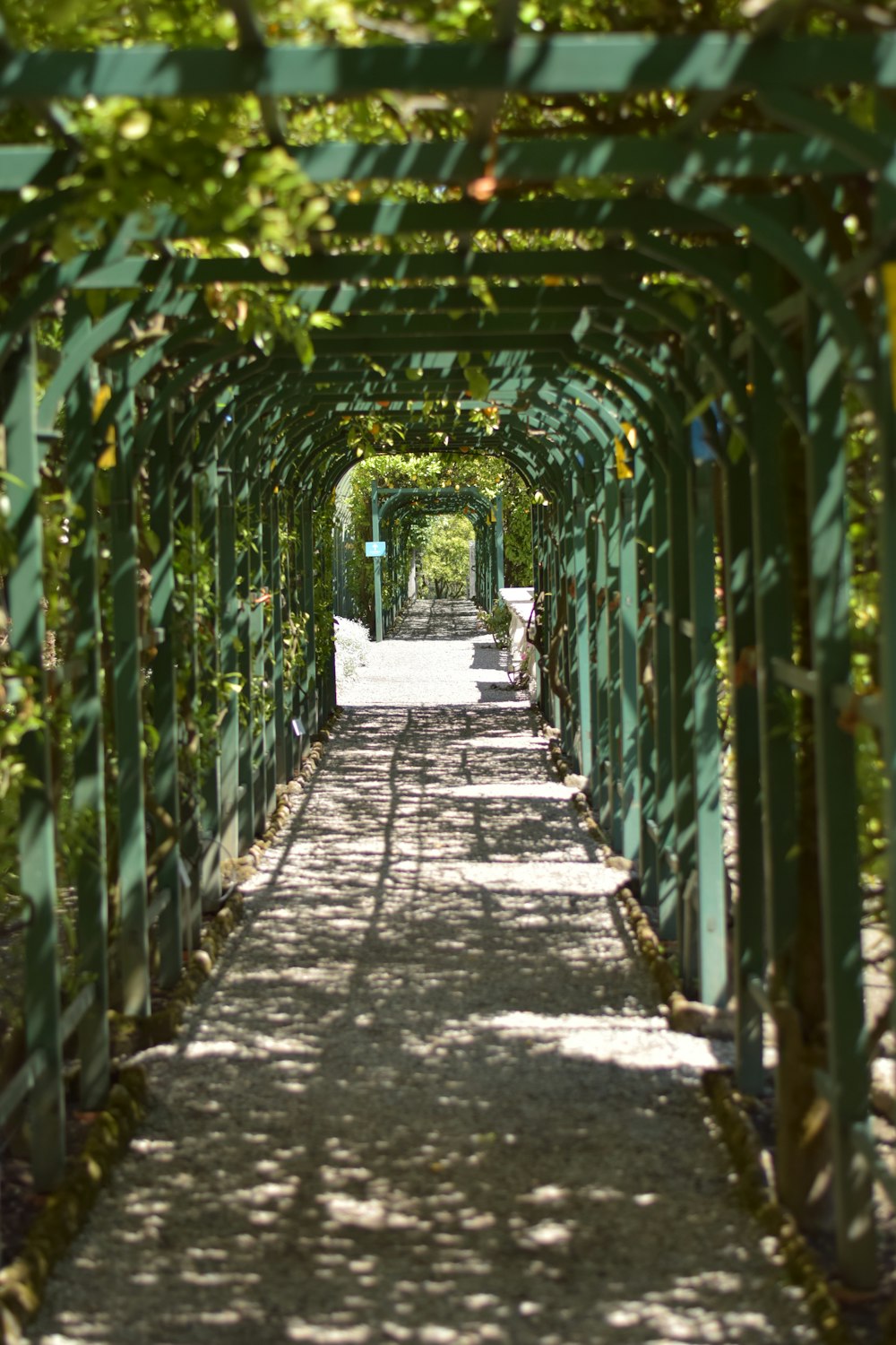 a walkway is lined with trees and plants