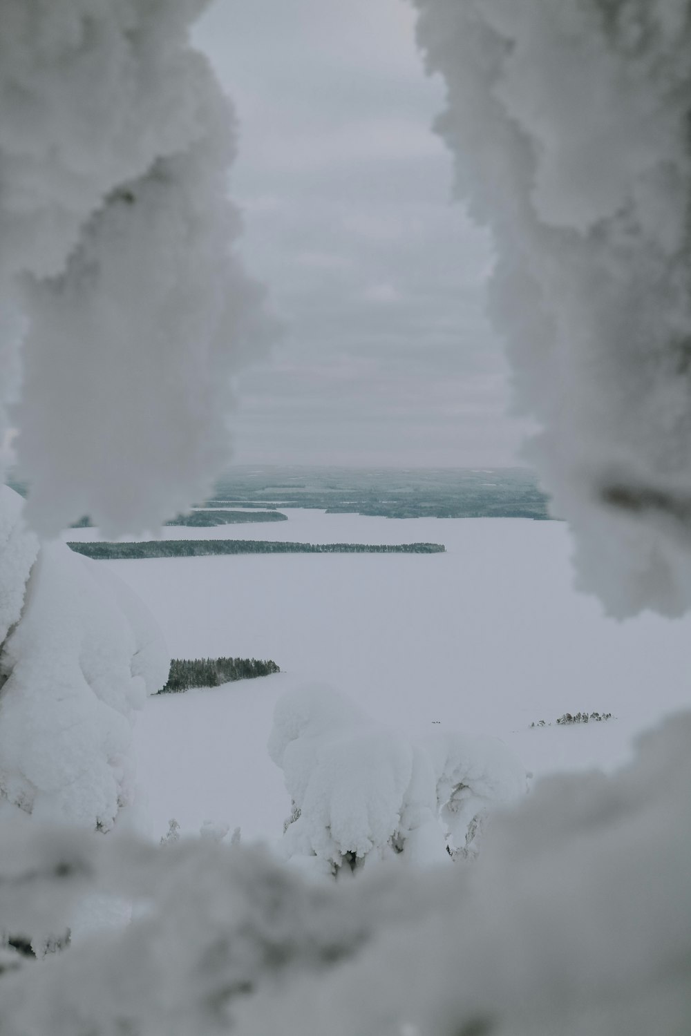 a view of a lake through some snow covered trees