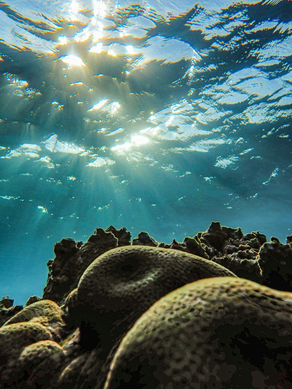 the sun shines through the water over a coral reef