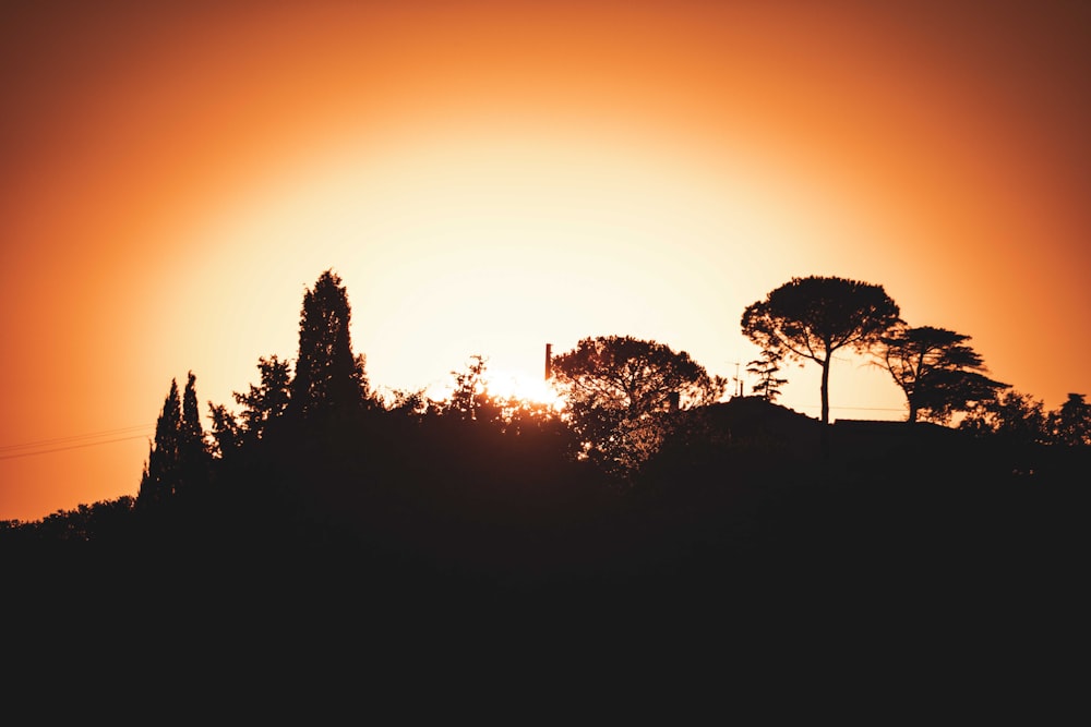 the sun is setting behind the silhouette of trees