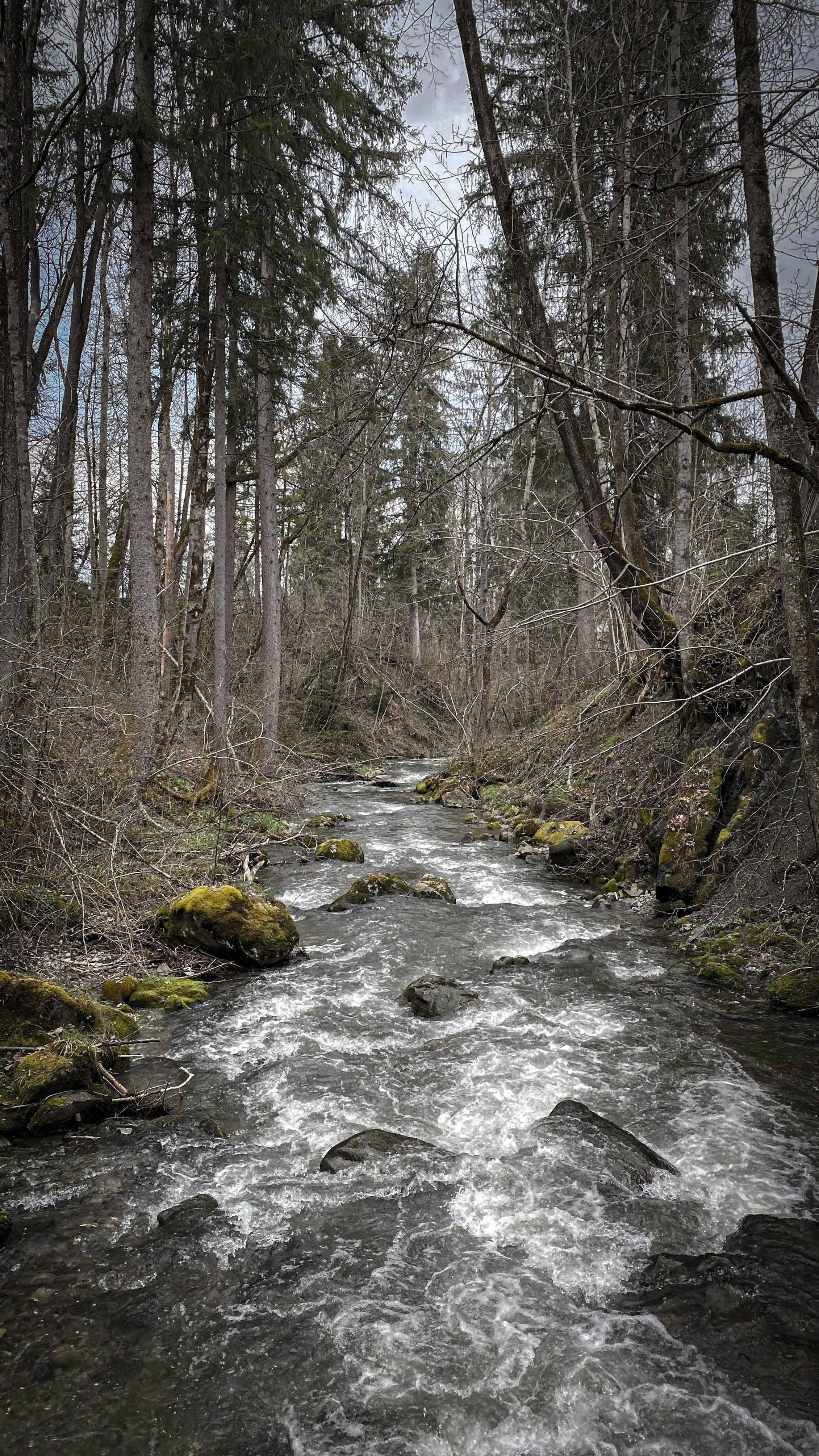 Photo by fabiankuehne