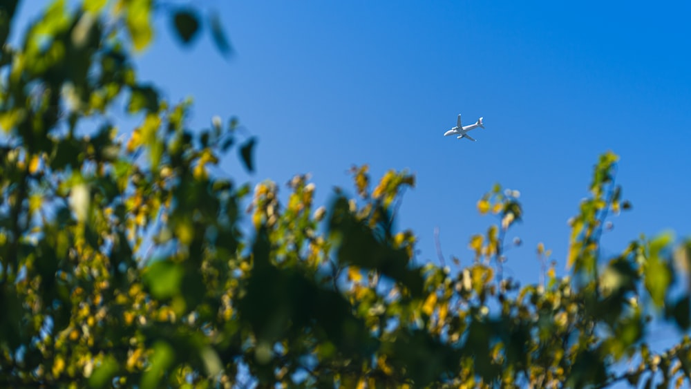 Un avión vuela por el cielo azul