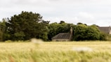 a house in a field with trees in the background