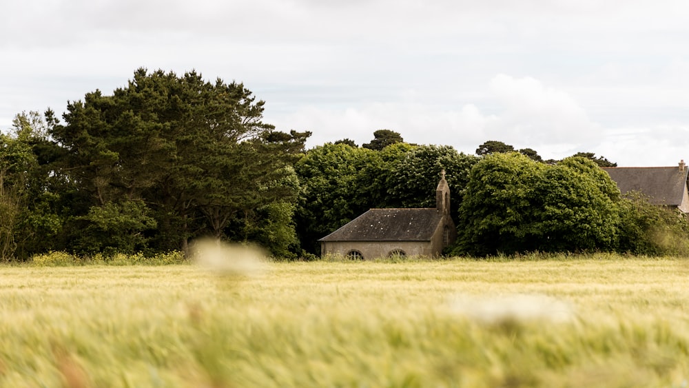 Ein Haus auf einem Feld mit Bäumen im Hintergrund