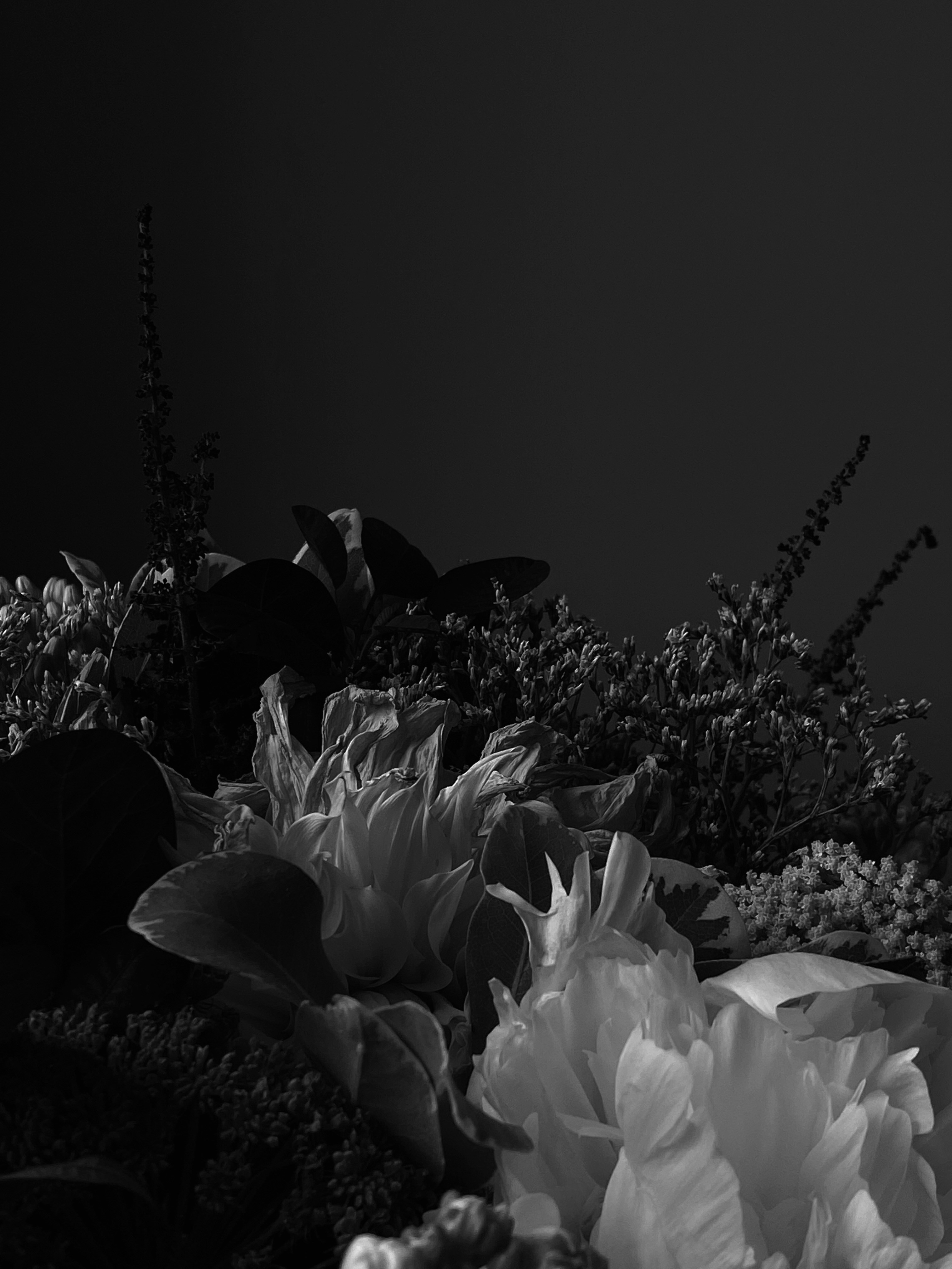 Photo by filipp_roman_photography