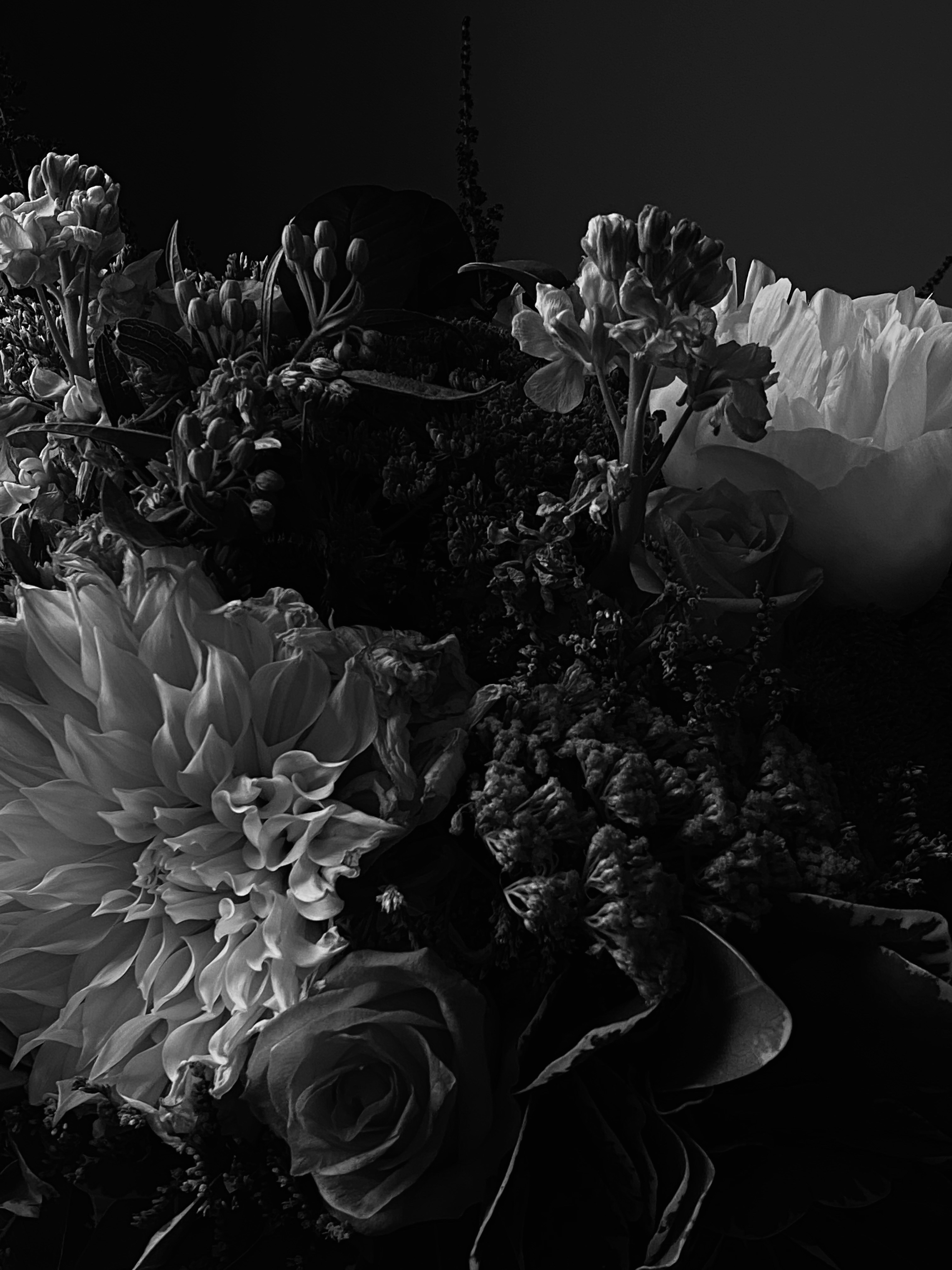 Photo by filipp_roman_photography