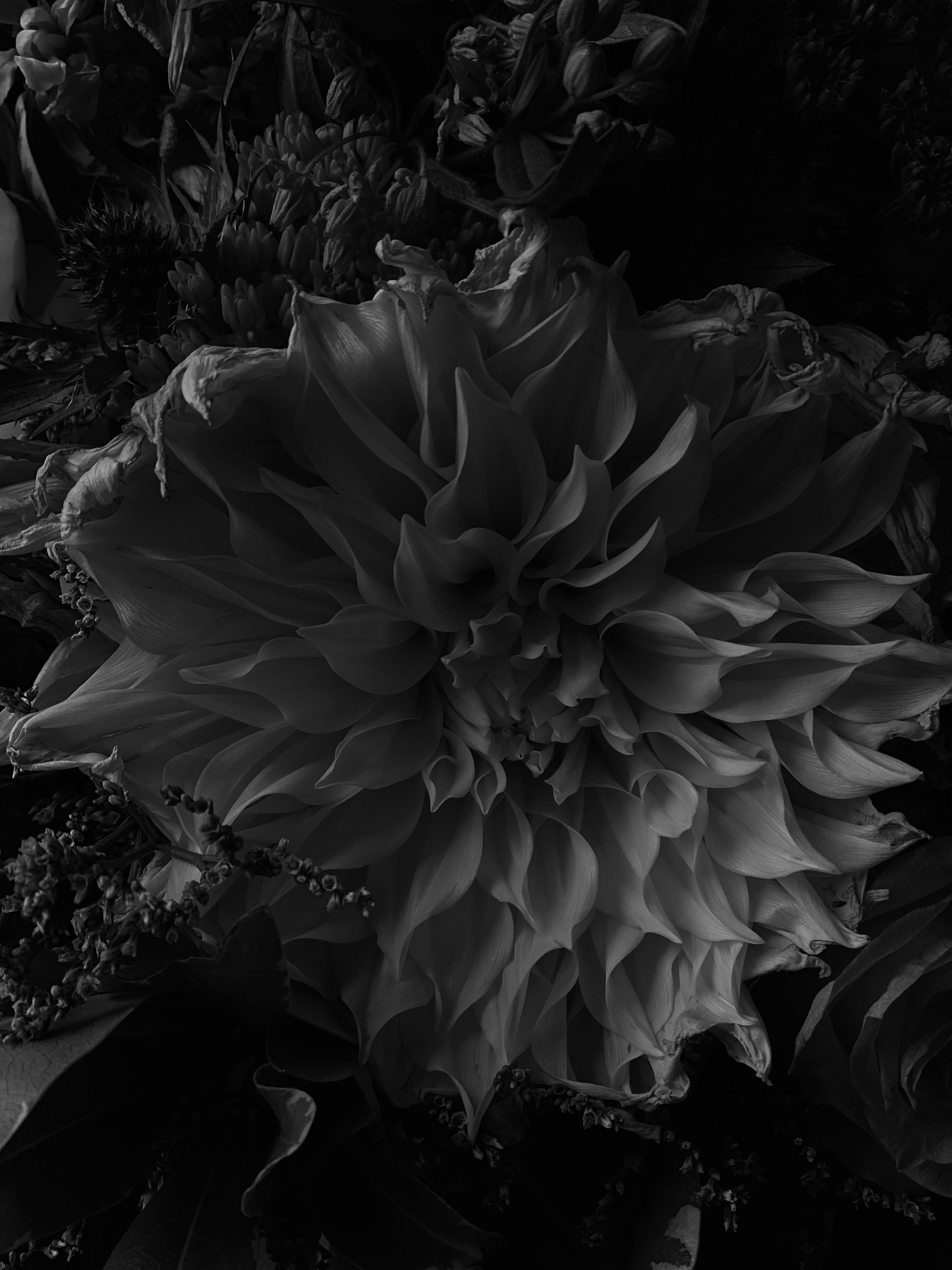 Photo by filipp_roman_photography