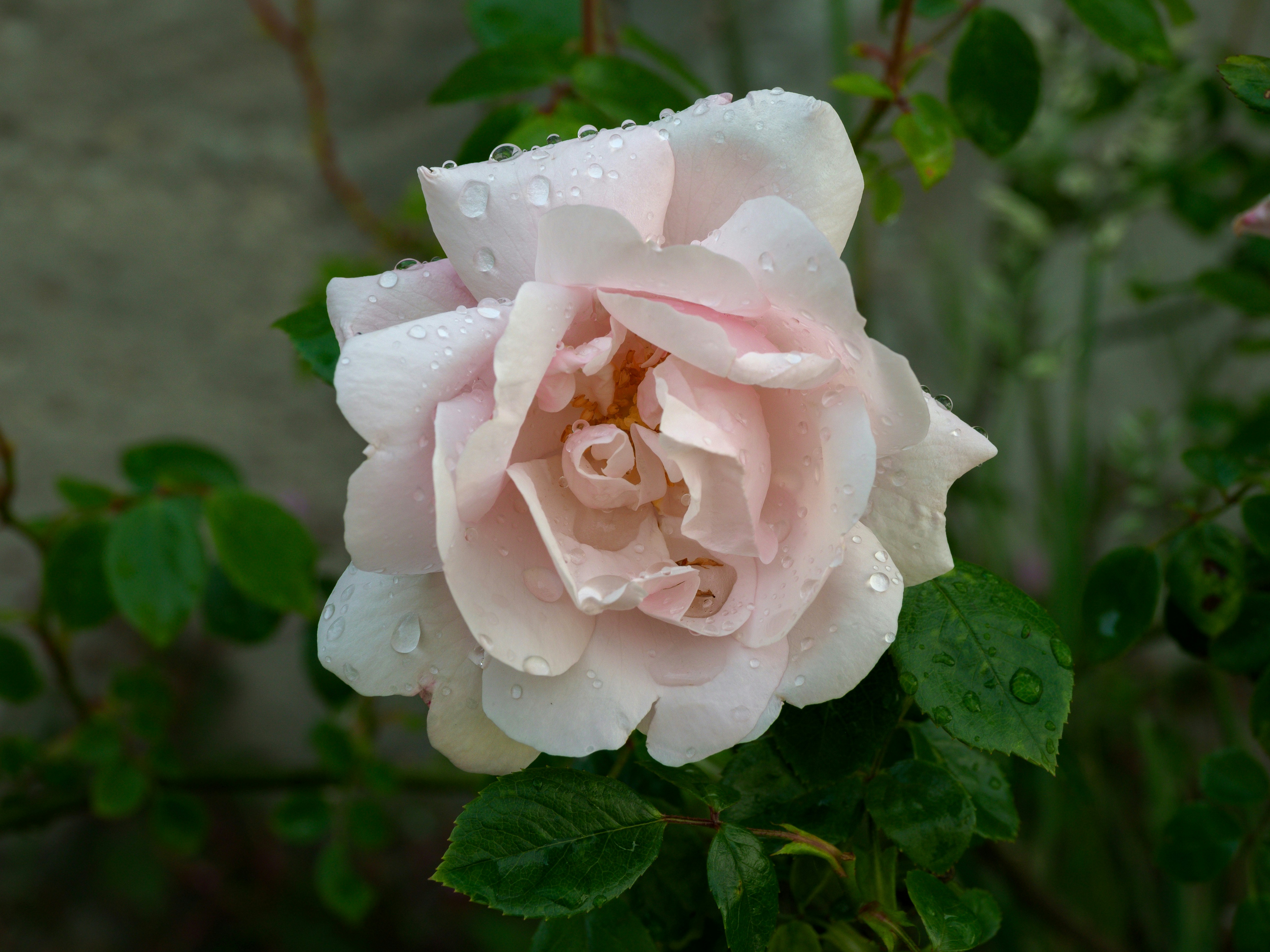 Photo by brett_jordan