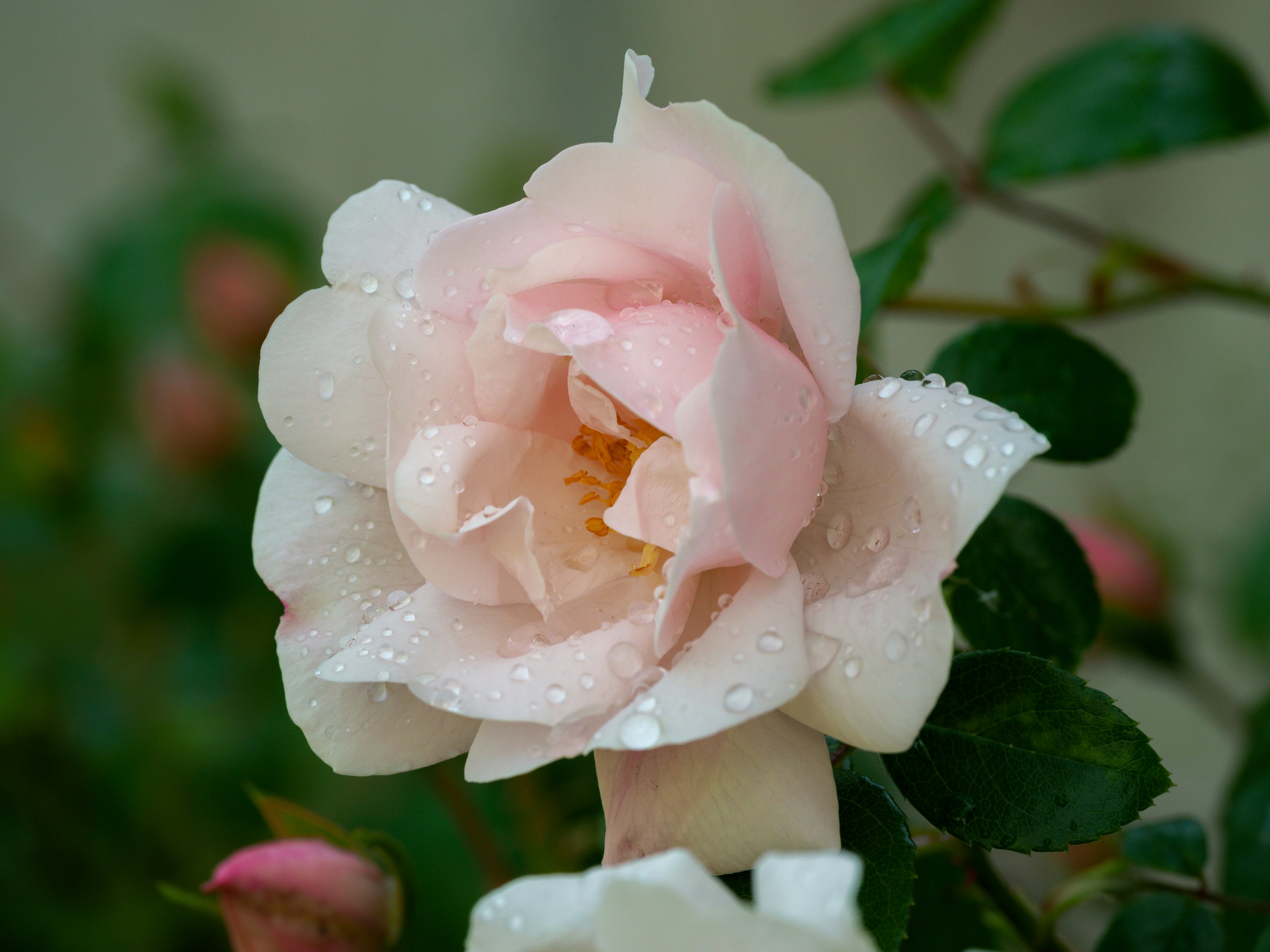 Photo by brett_jordan