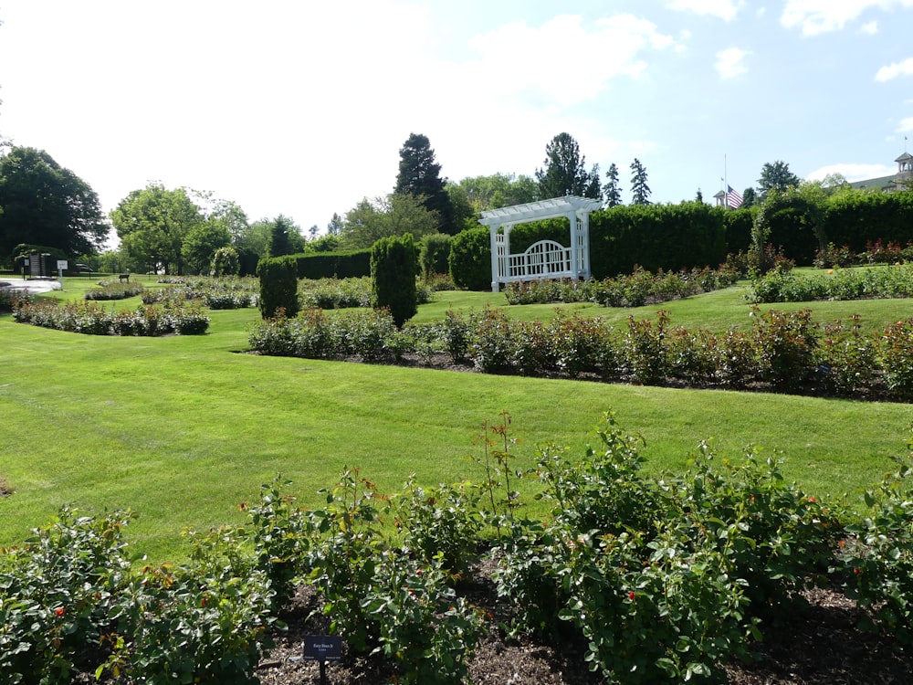 a lush green field with a white gazebo in the middle of it