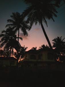 A charming guest house nestled among tropical trees at sunset.