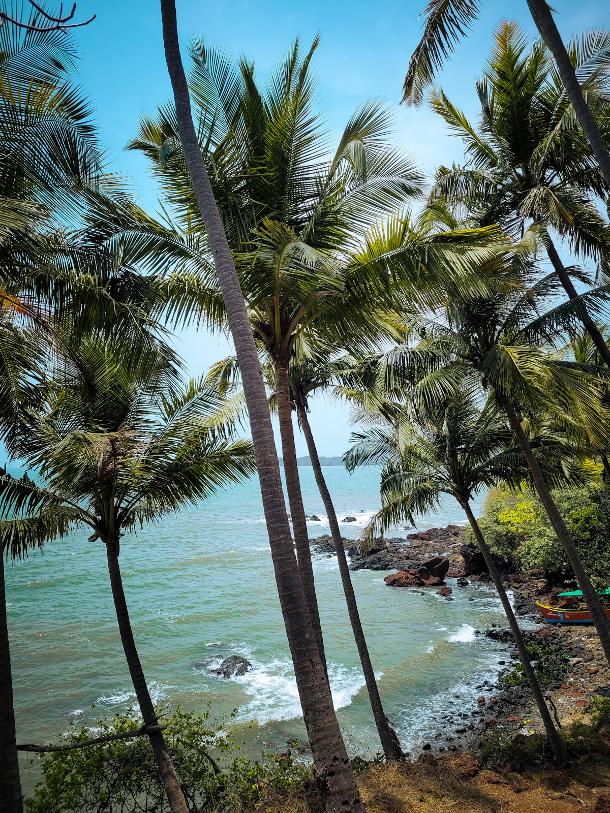 Lively shoreline with palm trees at Baga Beach Goa