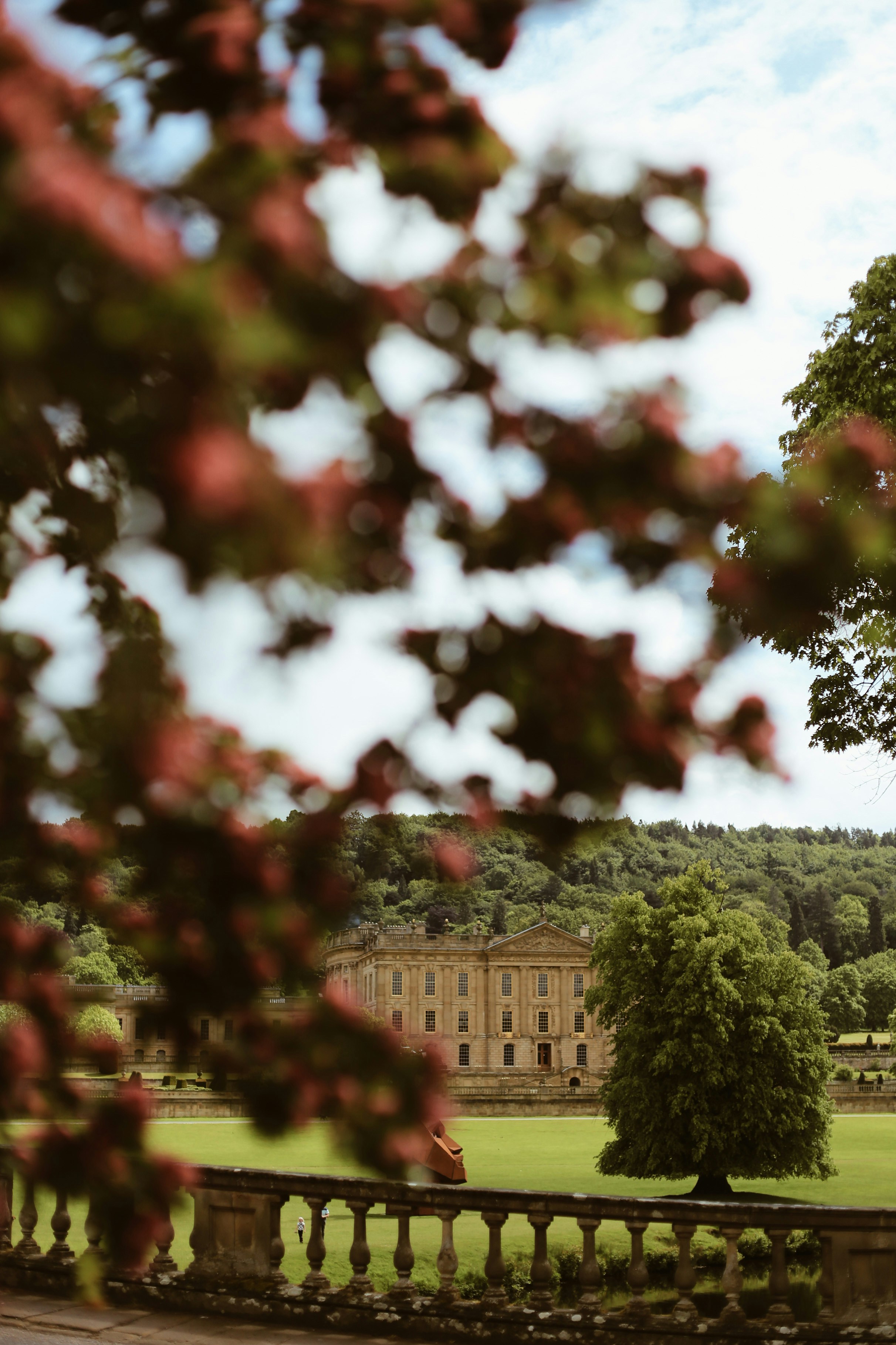 Photo by jessicalfadel