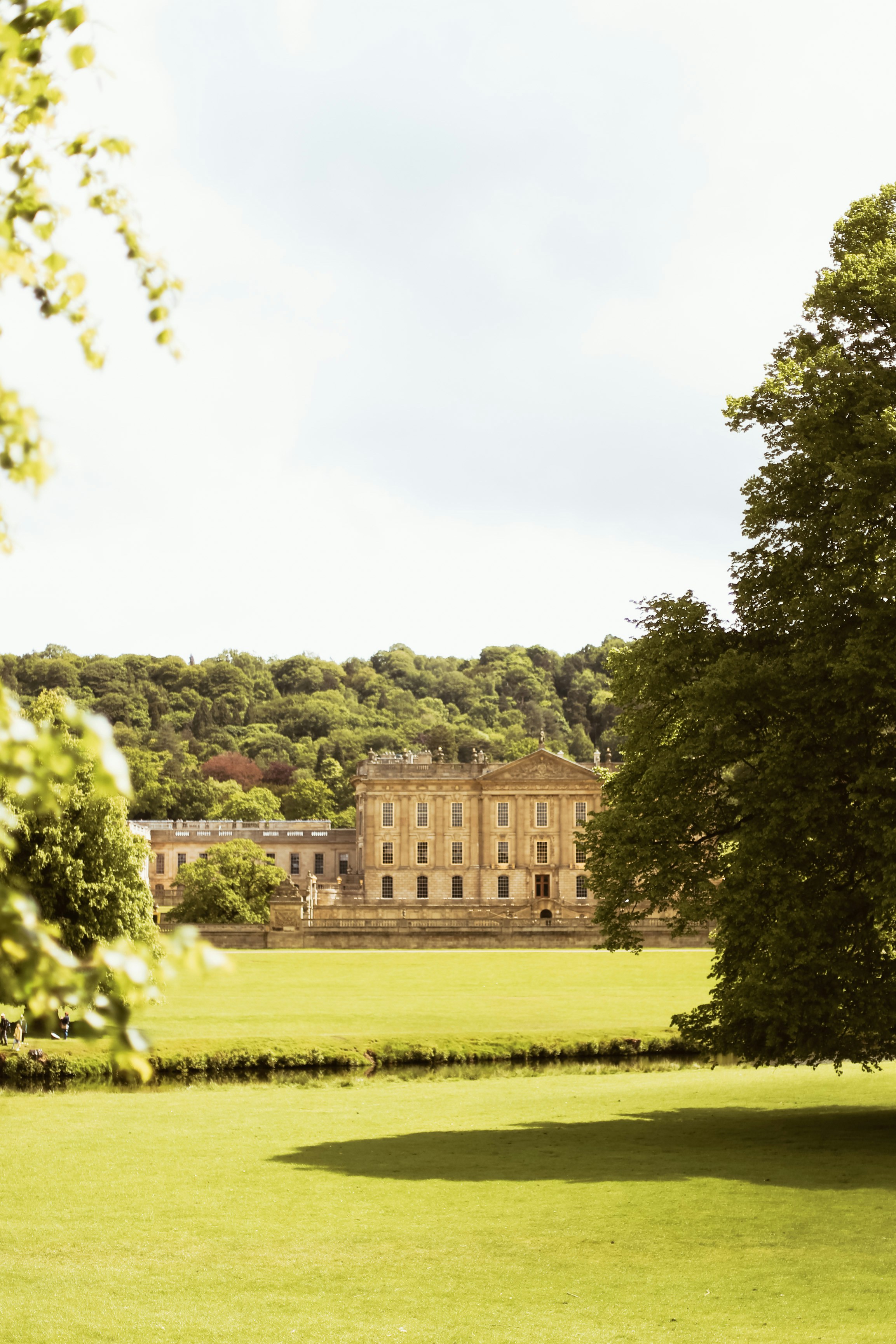 Photo by jessicalfadel