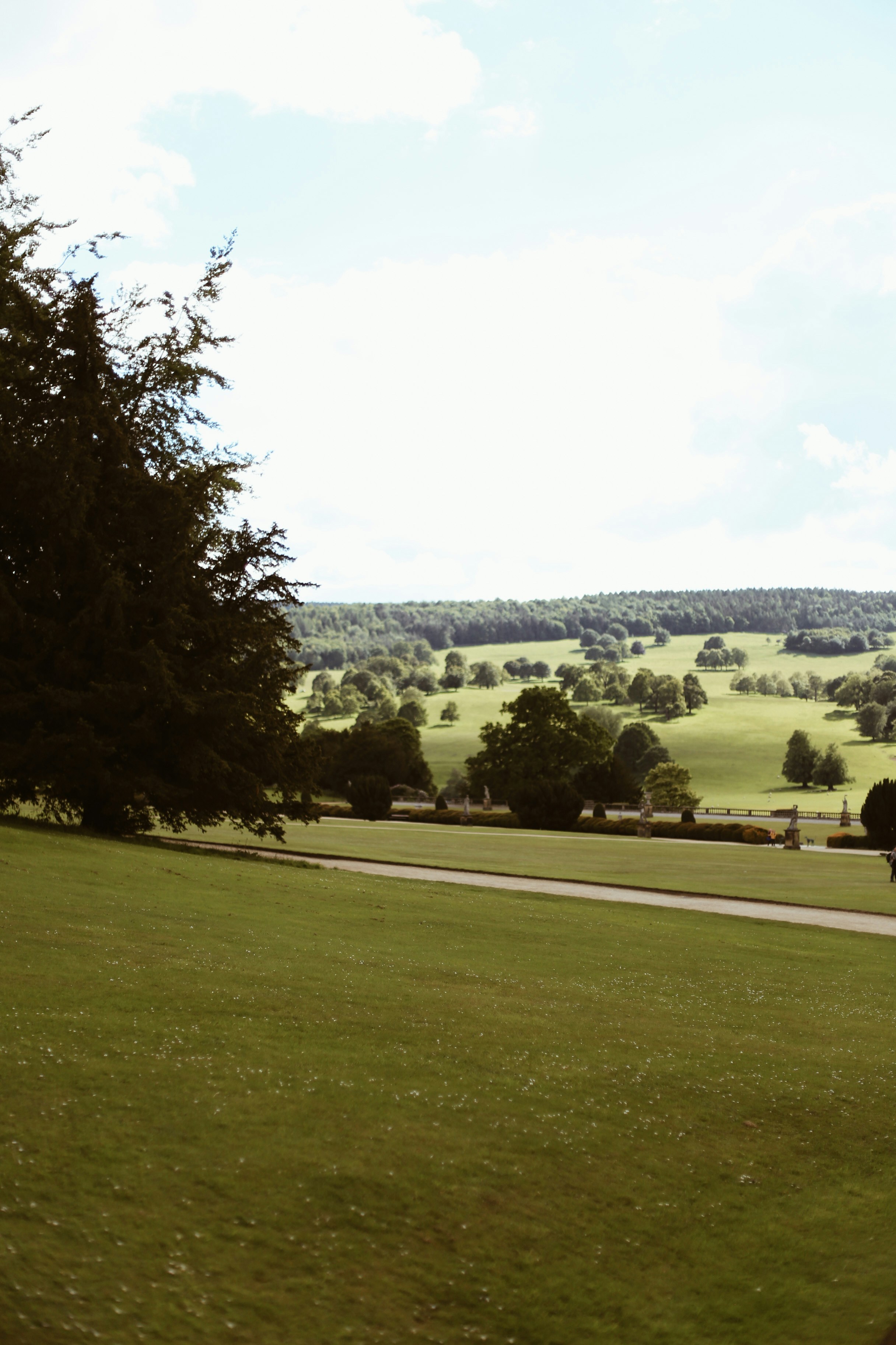 Photo by jessicalfadel