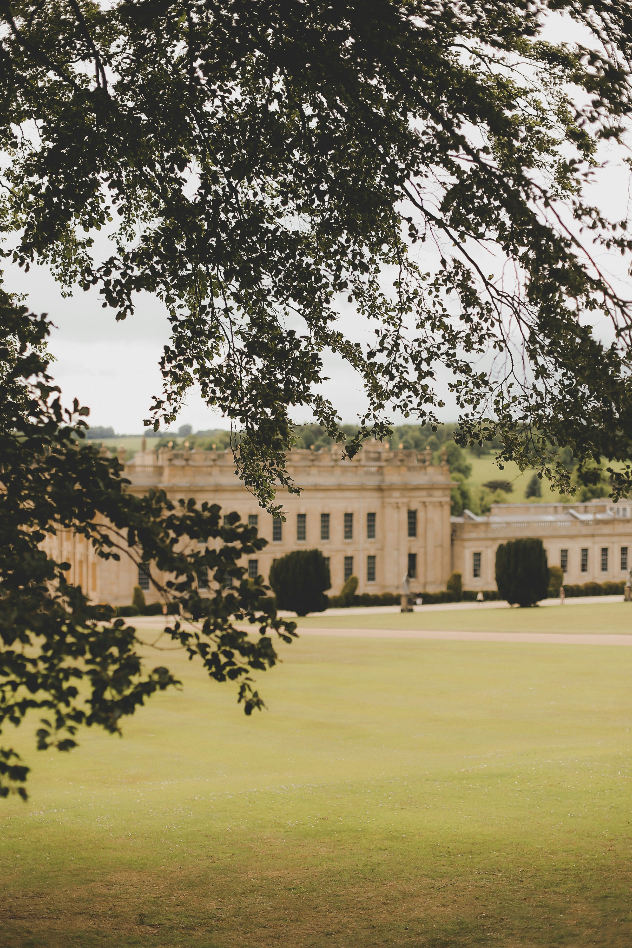 Photo by jessicalfadel