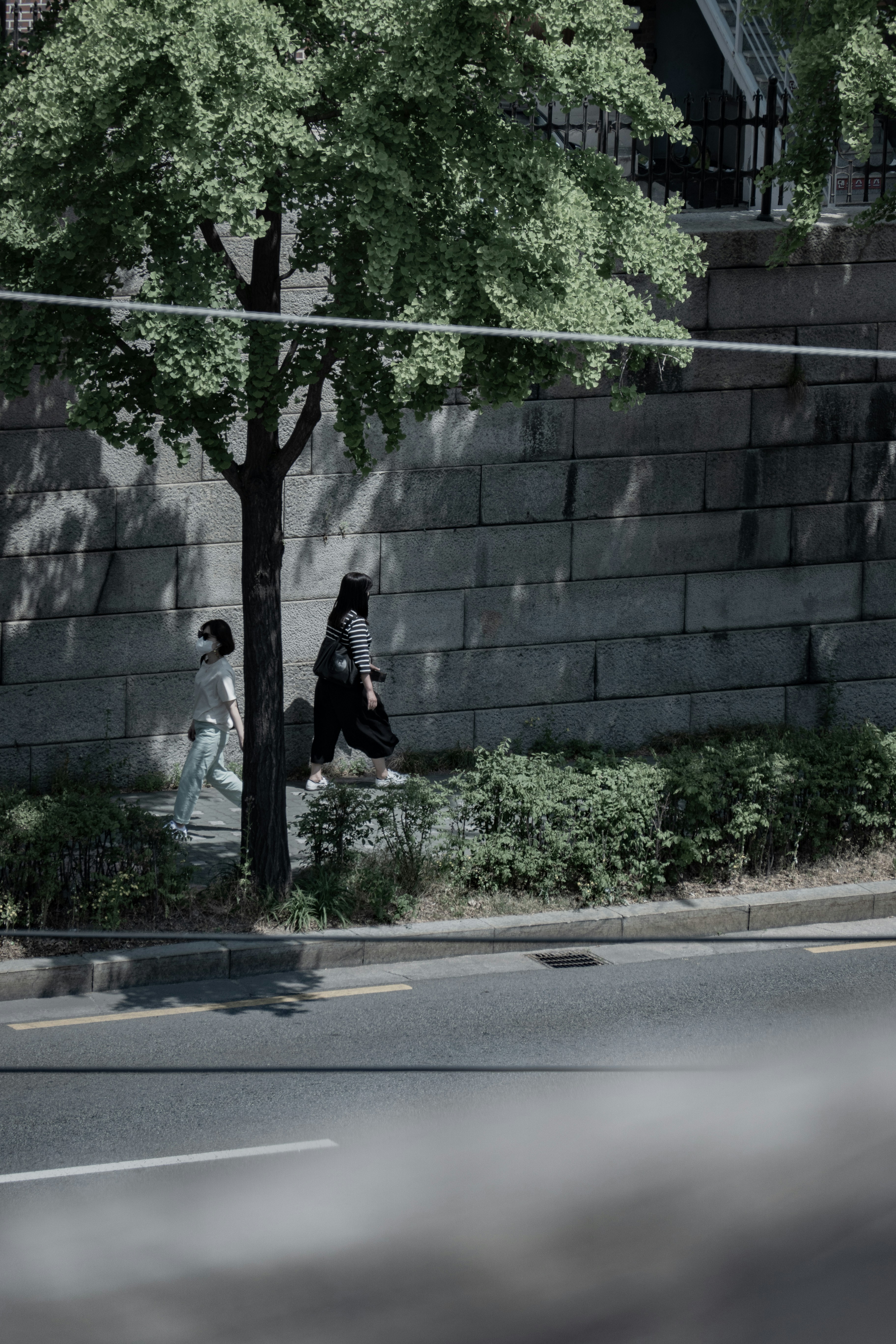 Photo by jason_oh