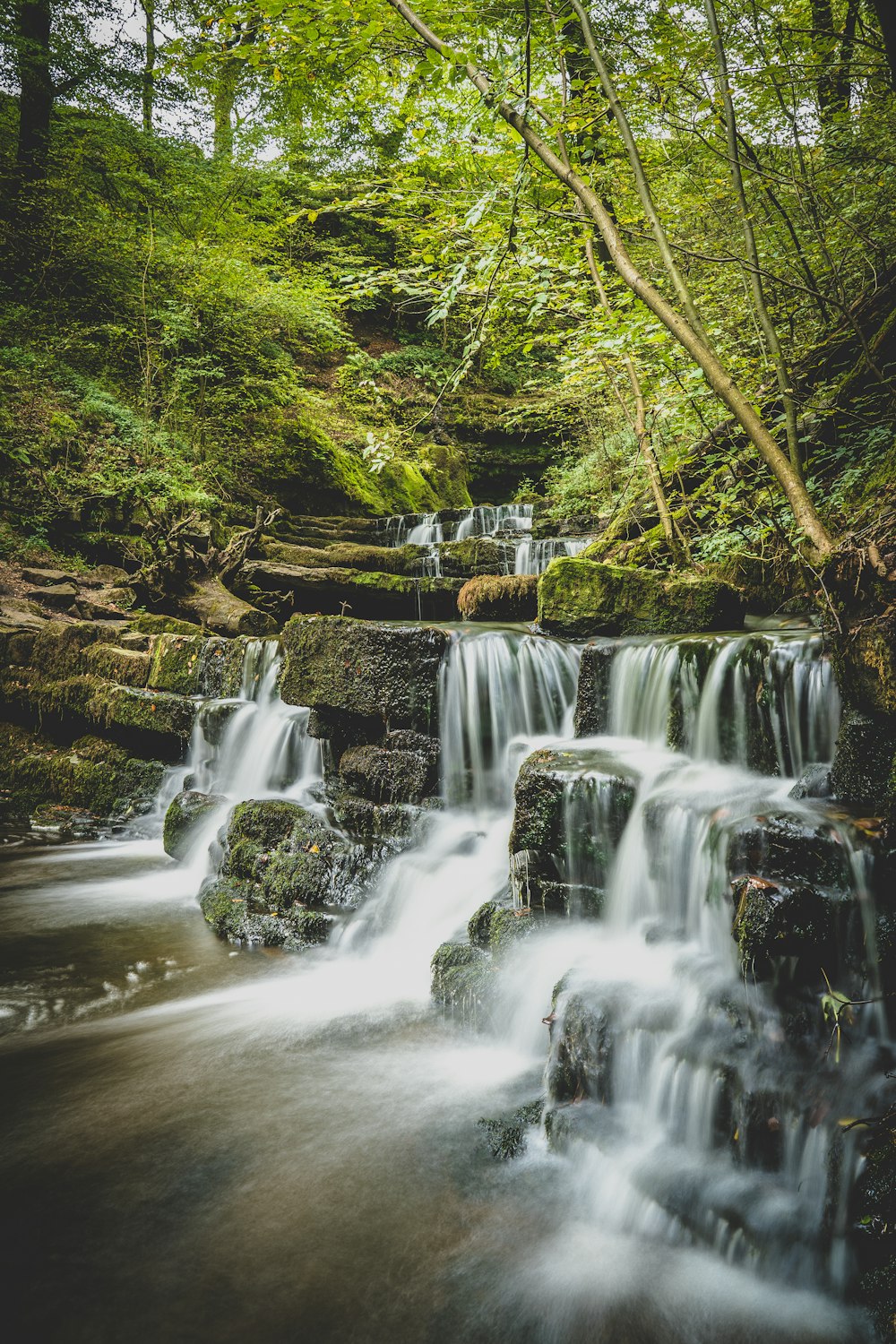 a small waterfall in the middle of a forest