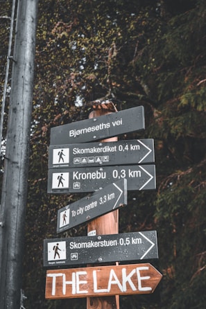 Several directional signs are mounted on a wooden post, pointing towards various destinations including hiking trails and a city center. The signs have text in English and another language, with small symbols indicating activities and distances. The background features dense, dark green foliage, suggesting a forested area.