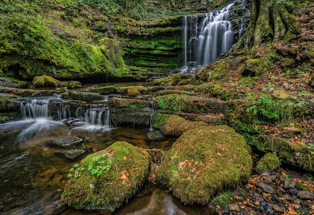 a small waterfall in the middle of a forest