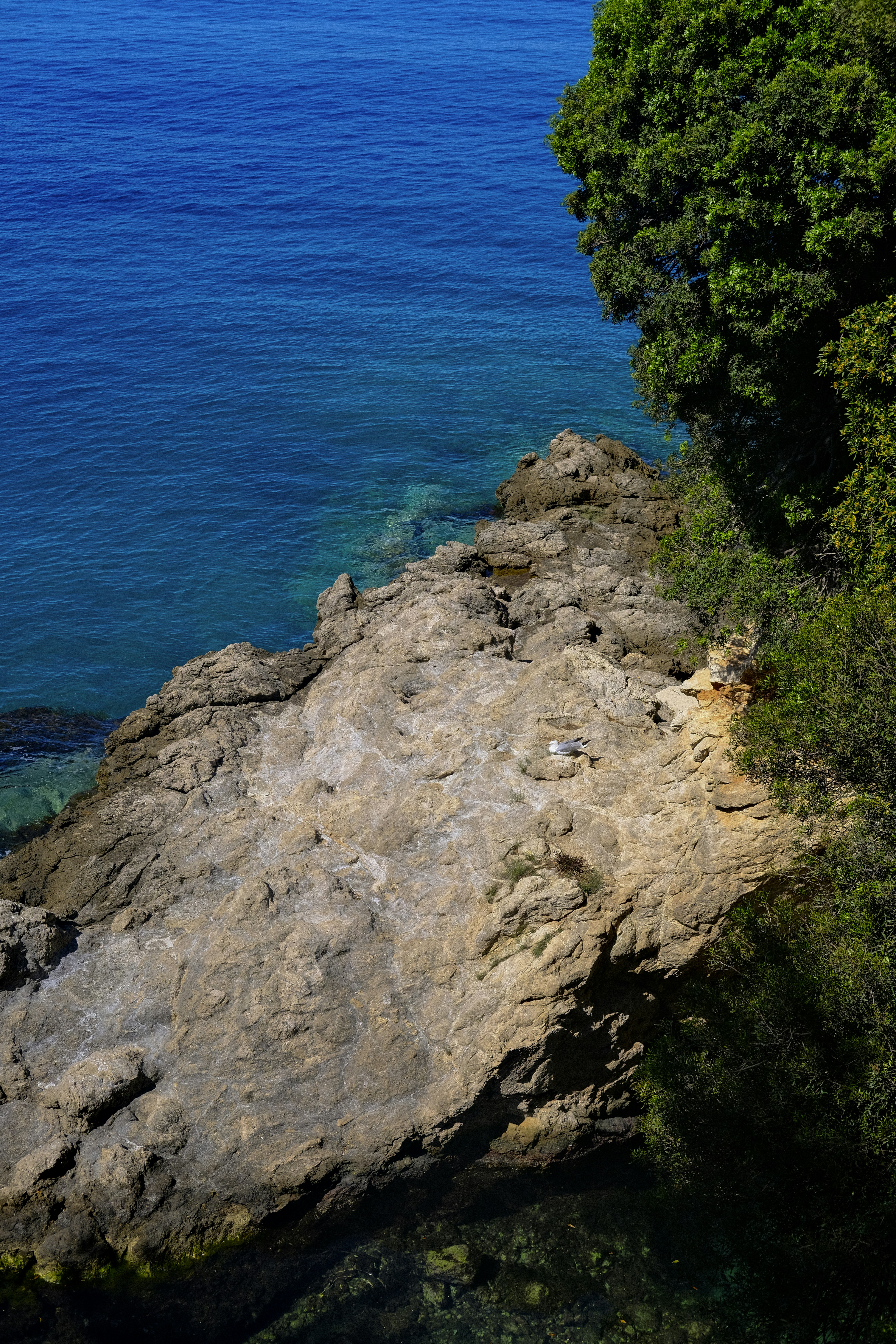 Photo by andreblanco