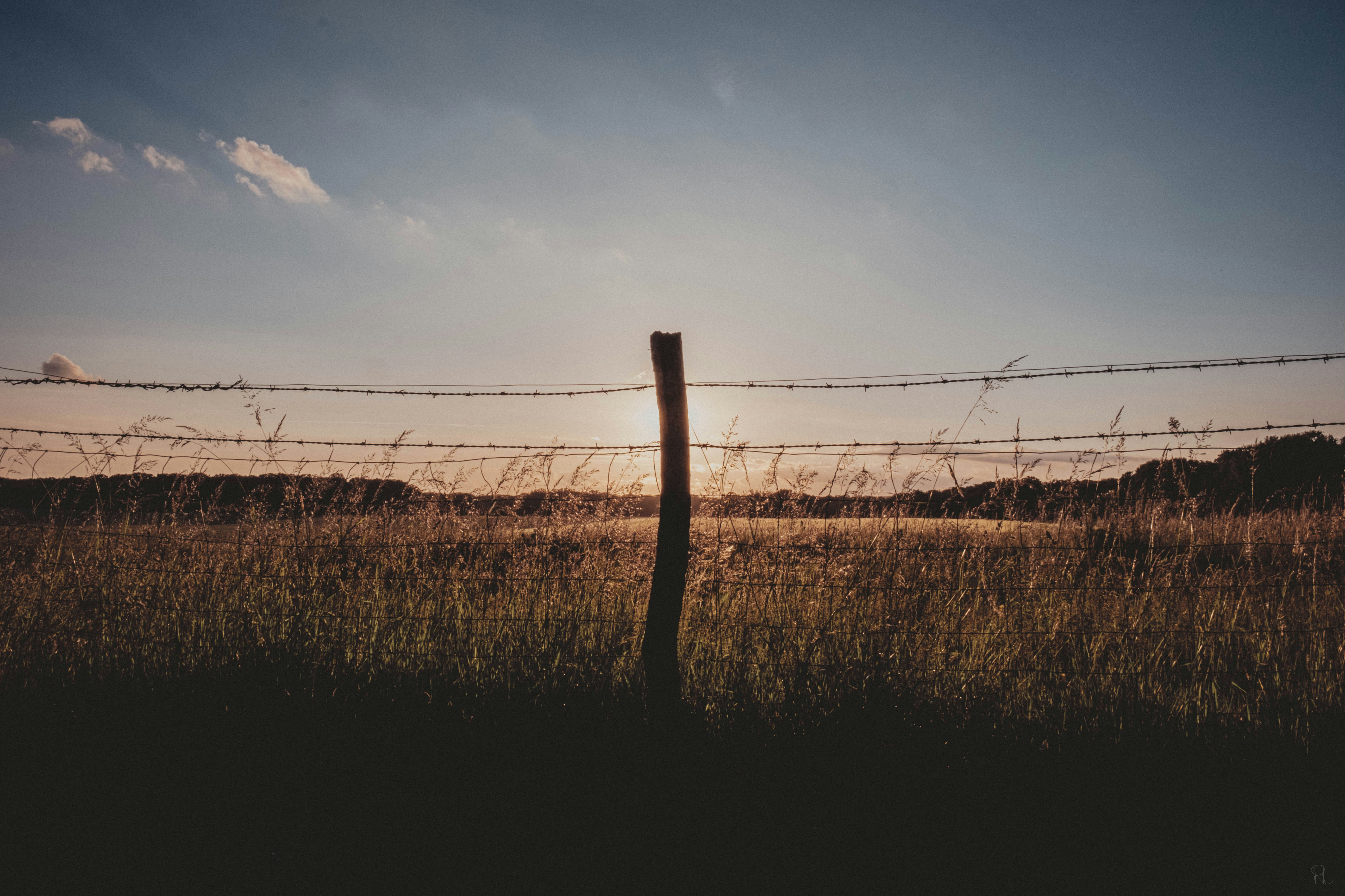 Photo by hadrienrose