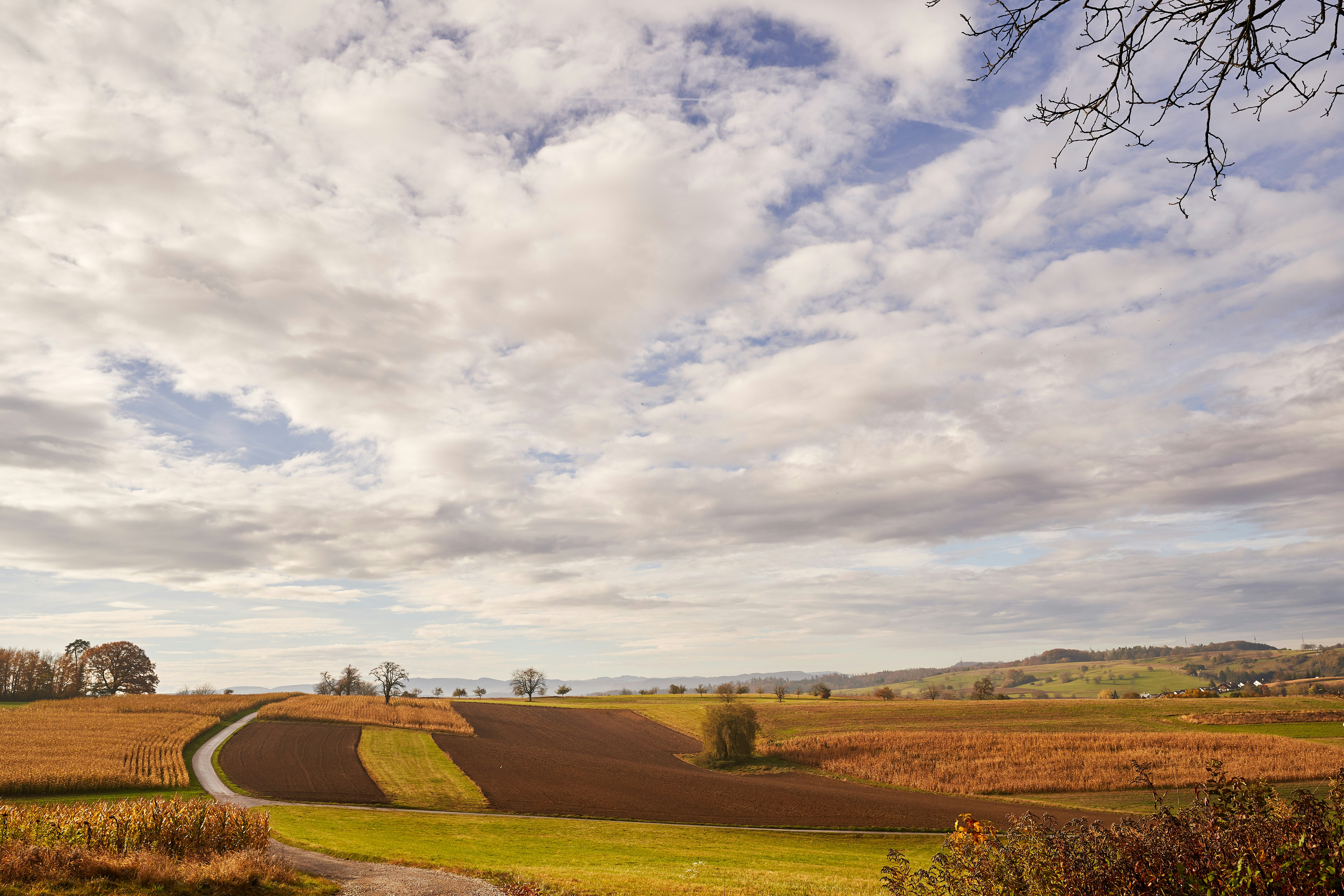 Photo by wolfgang_hasselmann